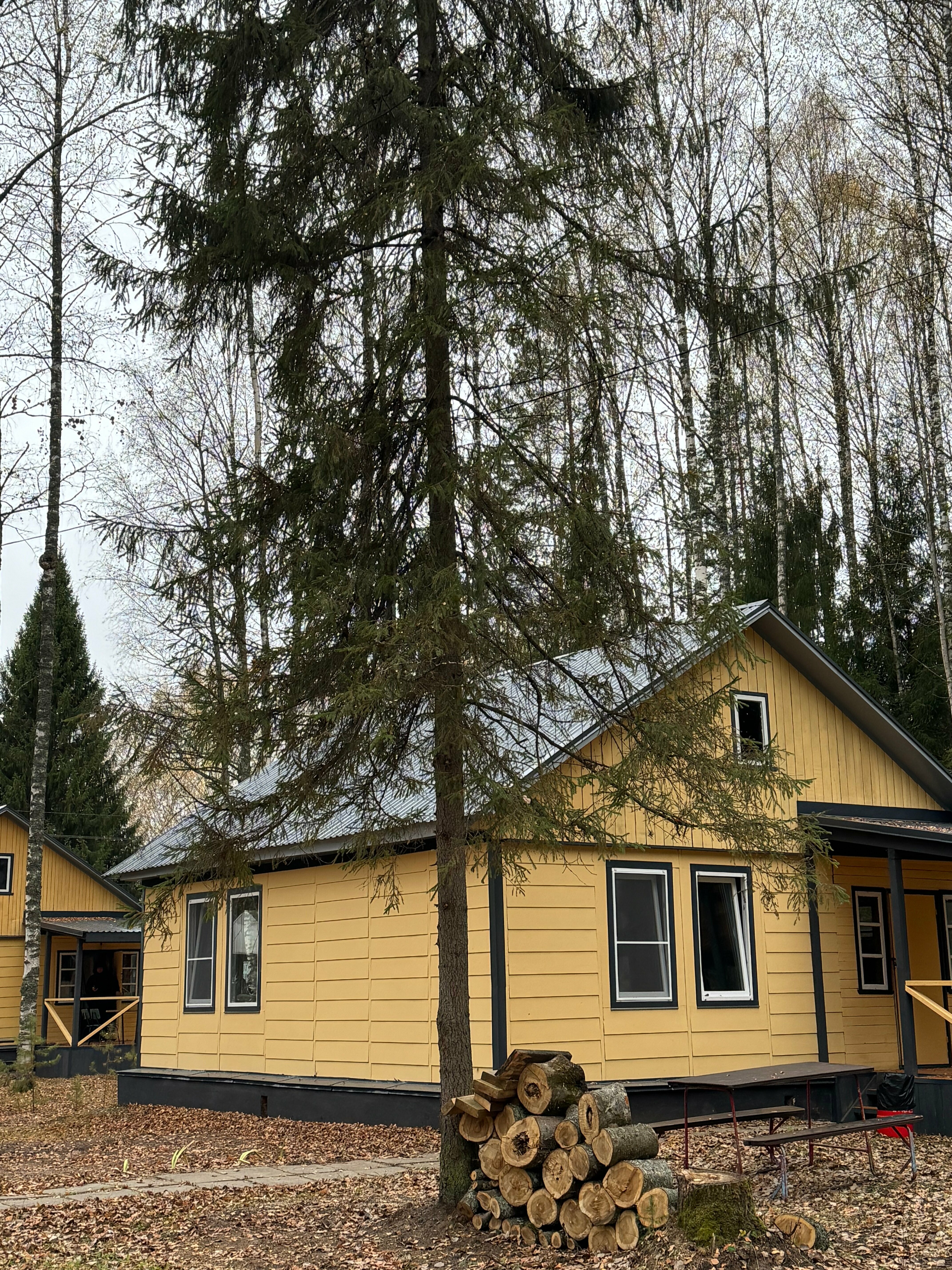 Коттедж с видом на лес