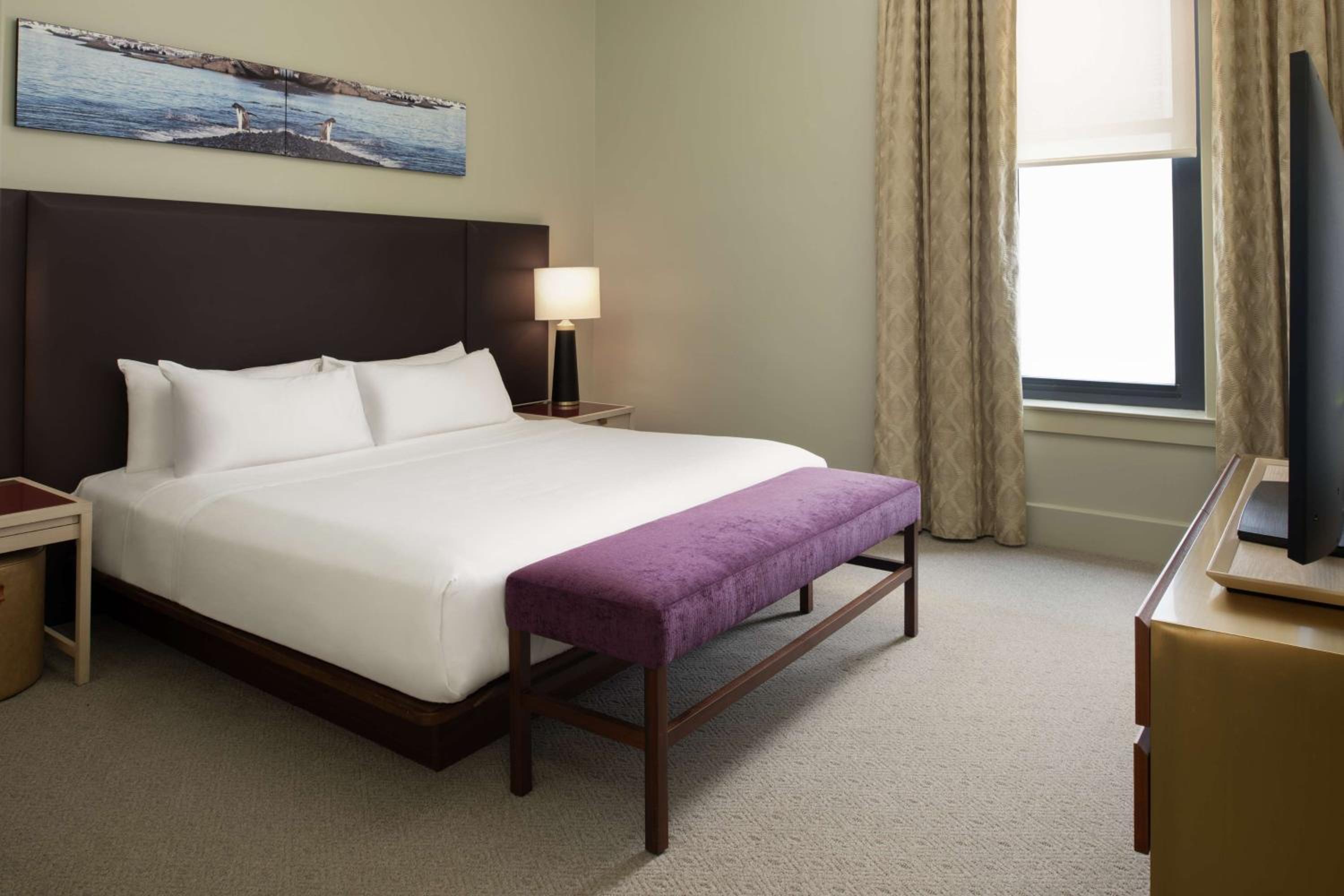 King Suite