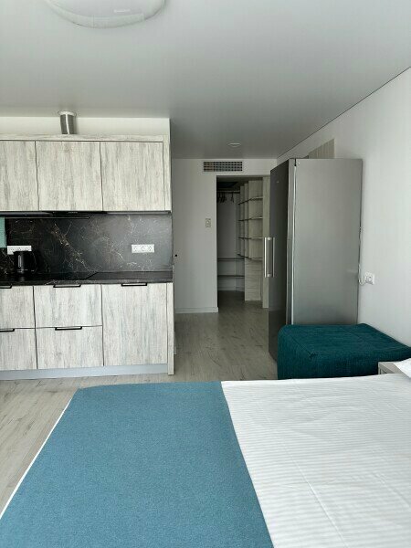 люкс 2-х местный с доп местом и кухней № 8а