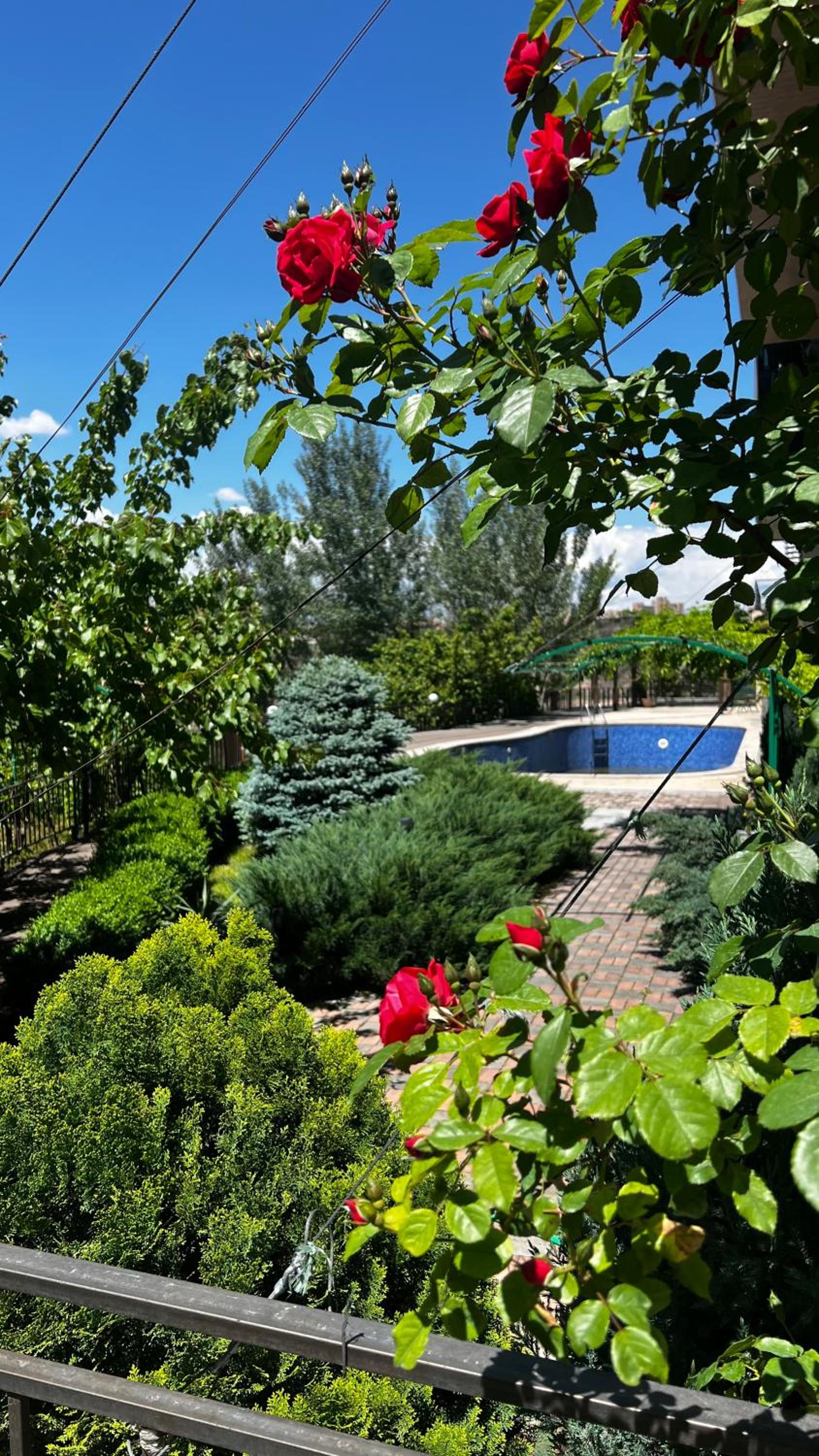 Double or Twin Room with Pool View