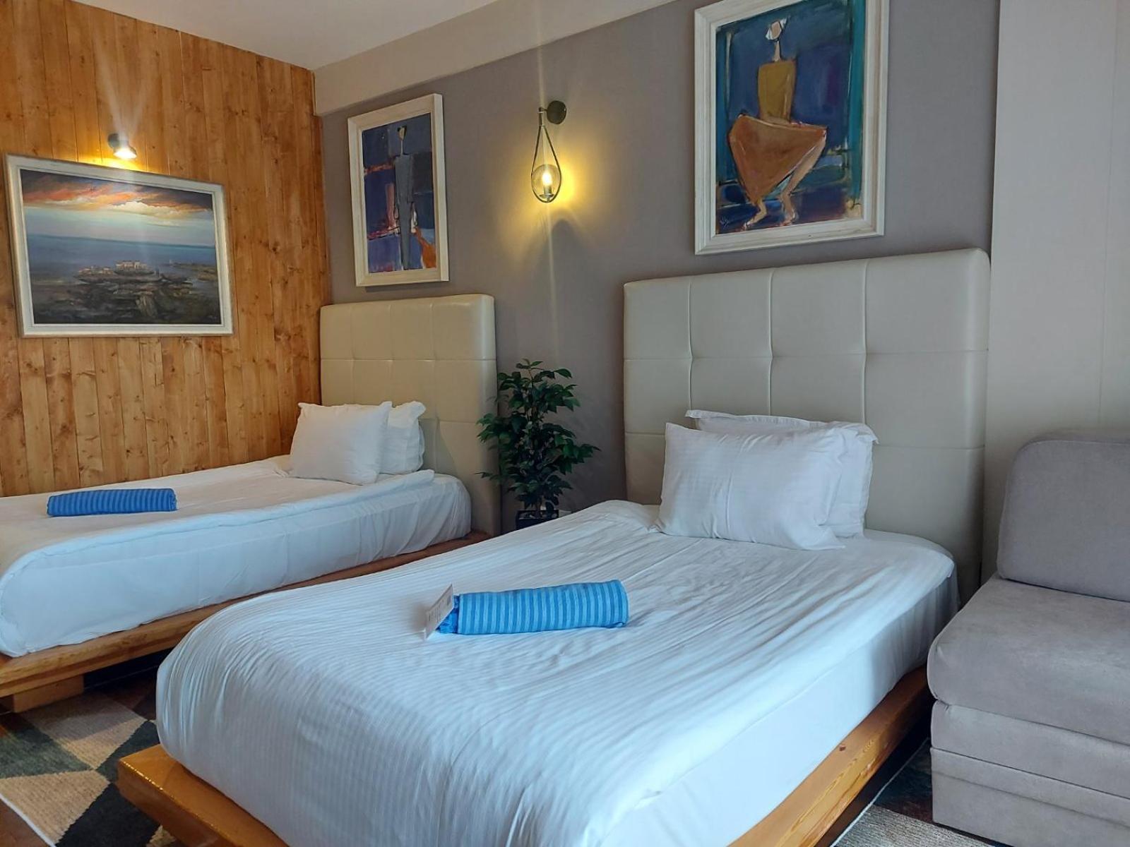 Superior Double or Twin Room