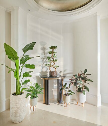 Room, 2 Twin Beds (Vegan) в Emirates Palace Mandarin Oriental