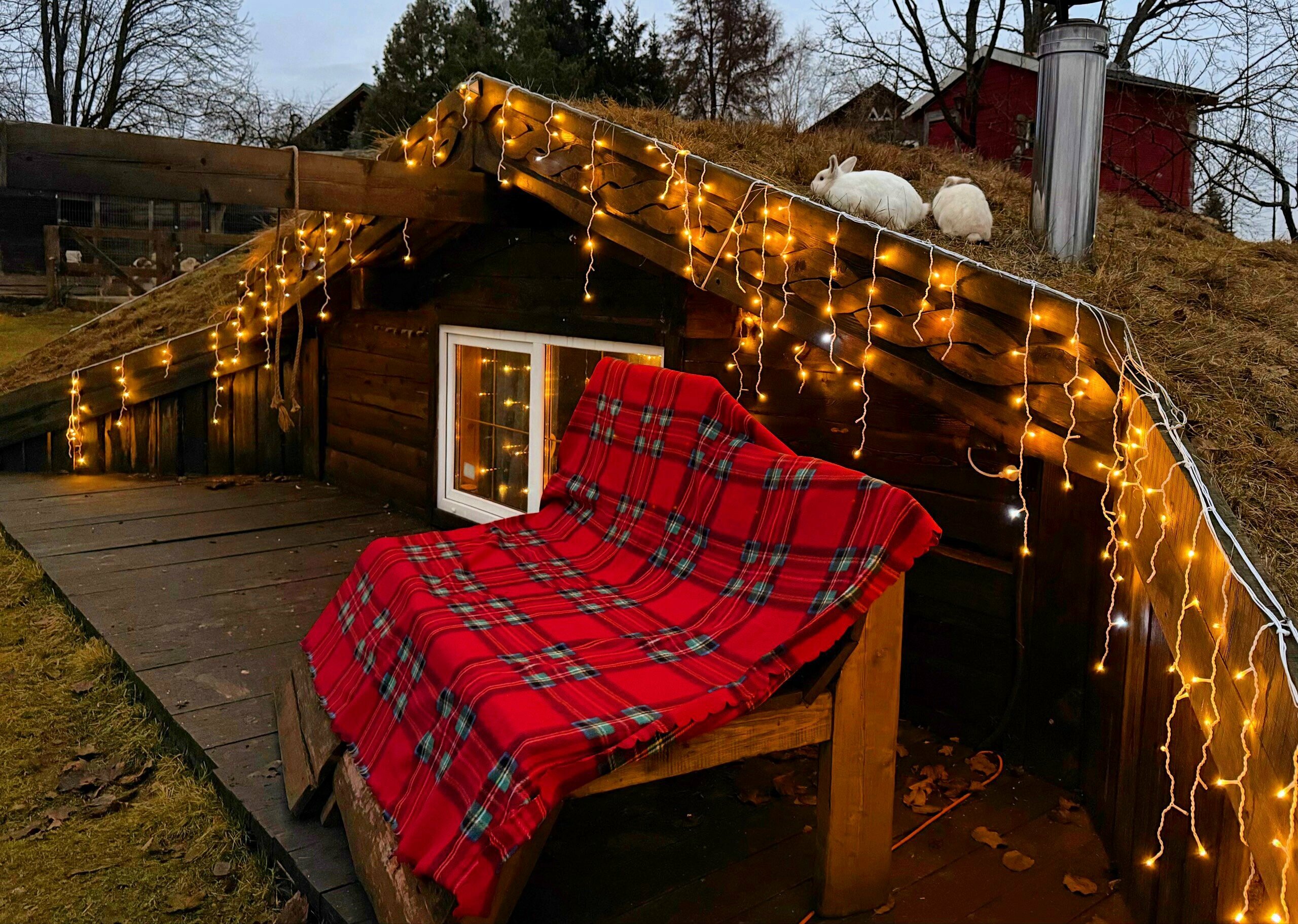 Двухместный номер Делюкс с 1 кроватью или 2 отдельными кроватями