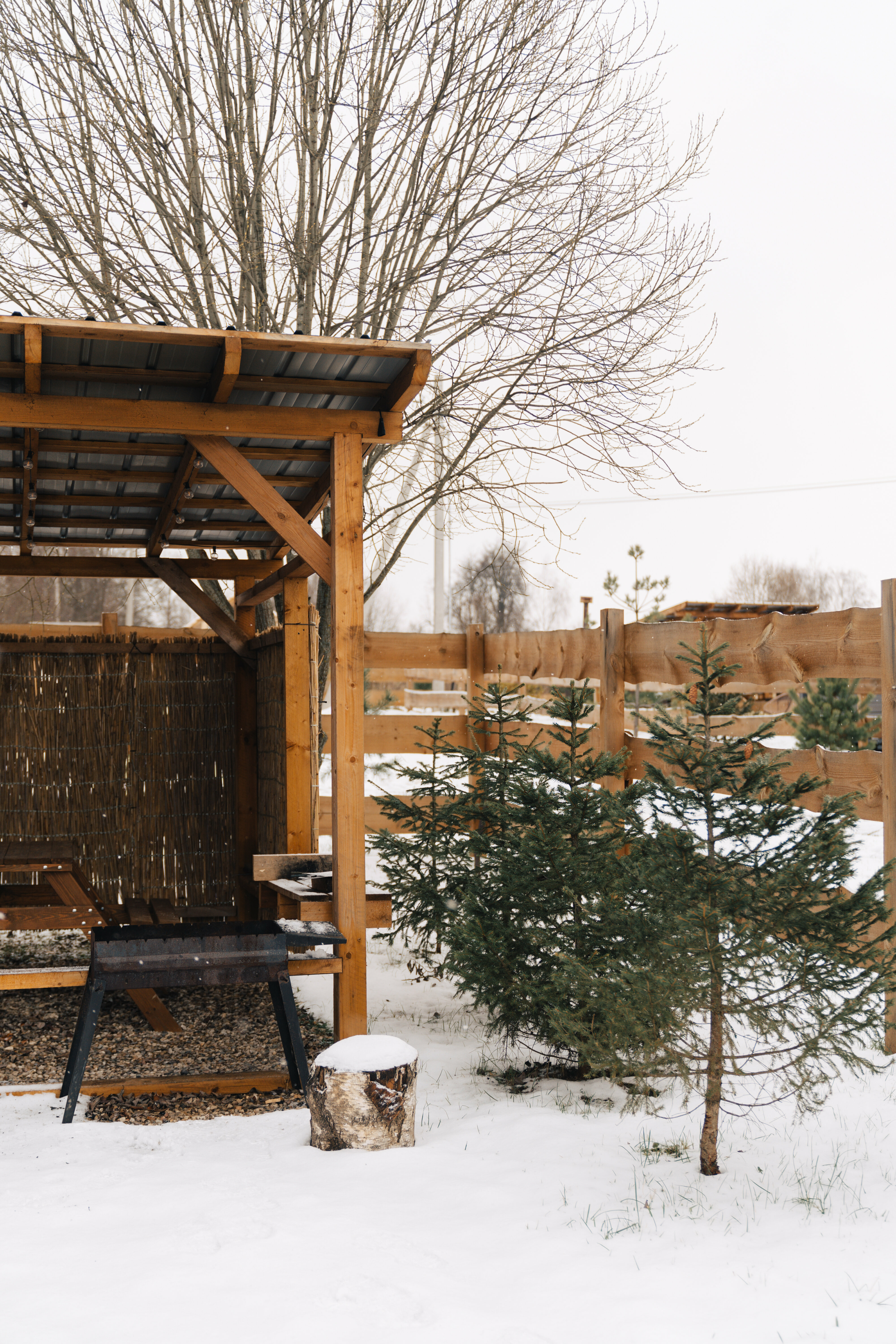 Дом с видом на лес