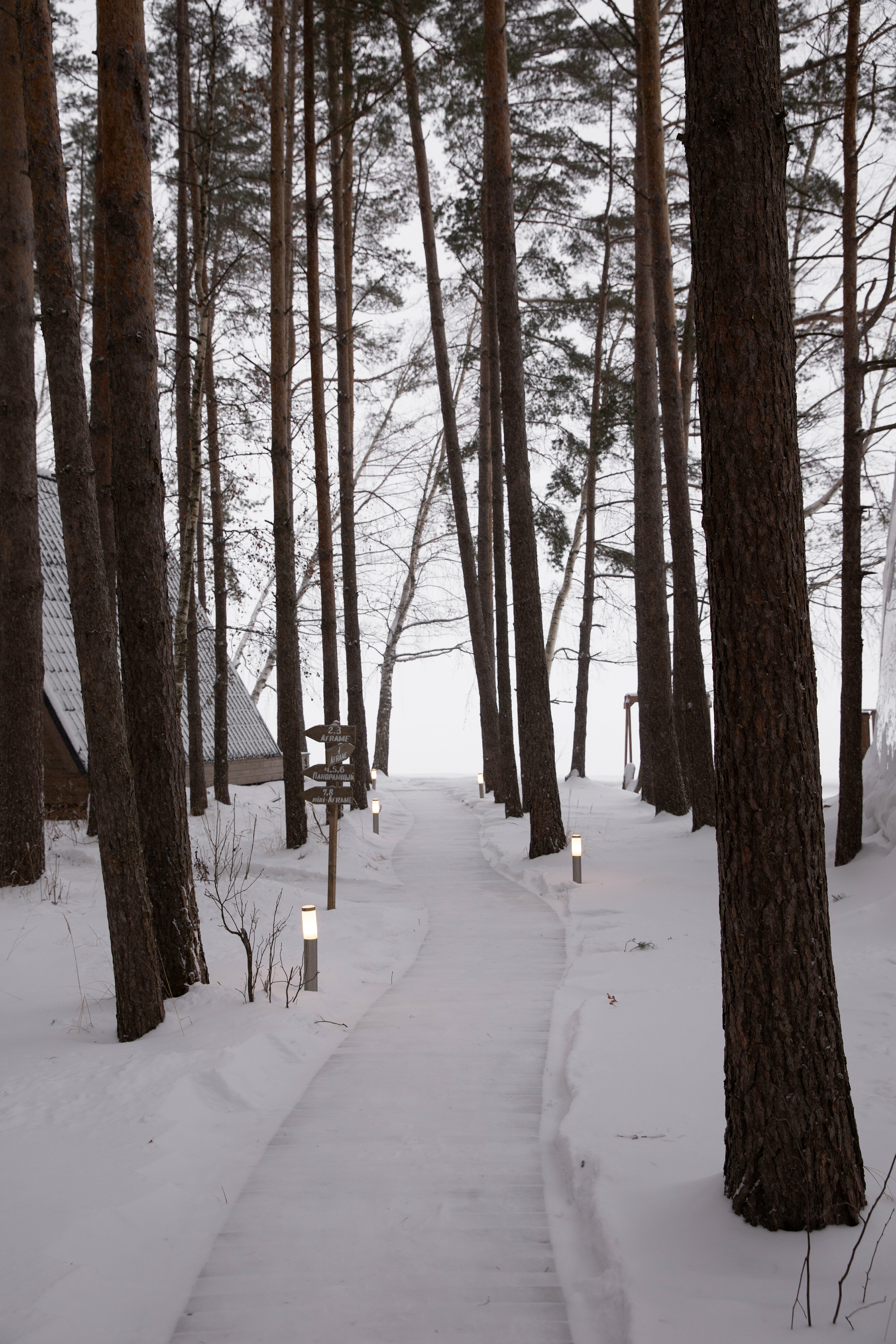 Классический четырехместный номер