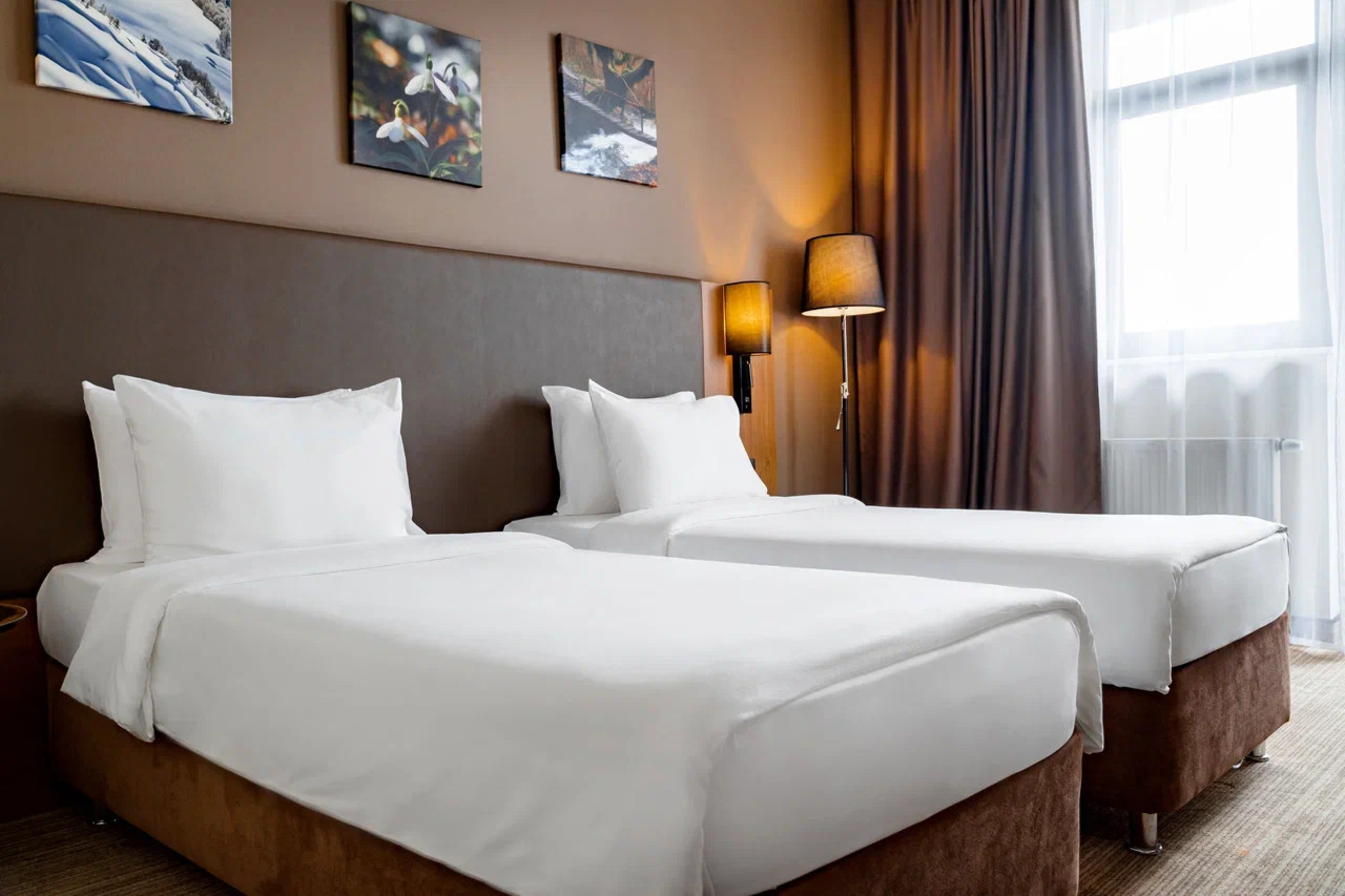 Стандарт с 2 односпальными кроватями