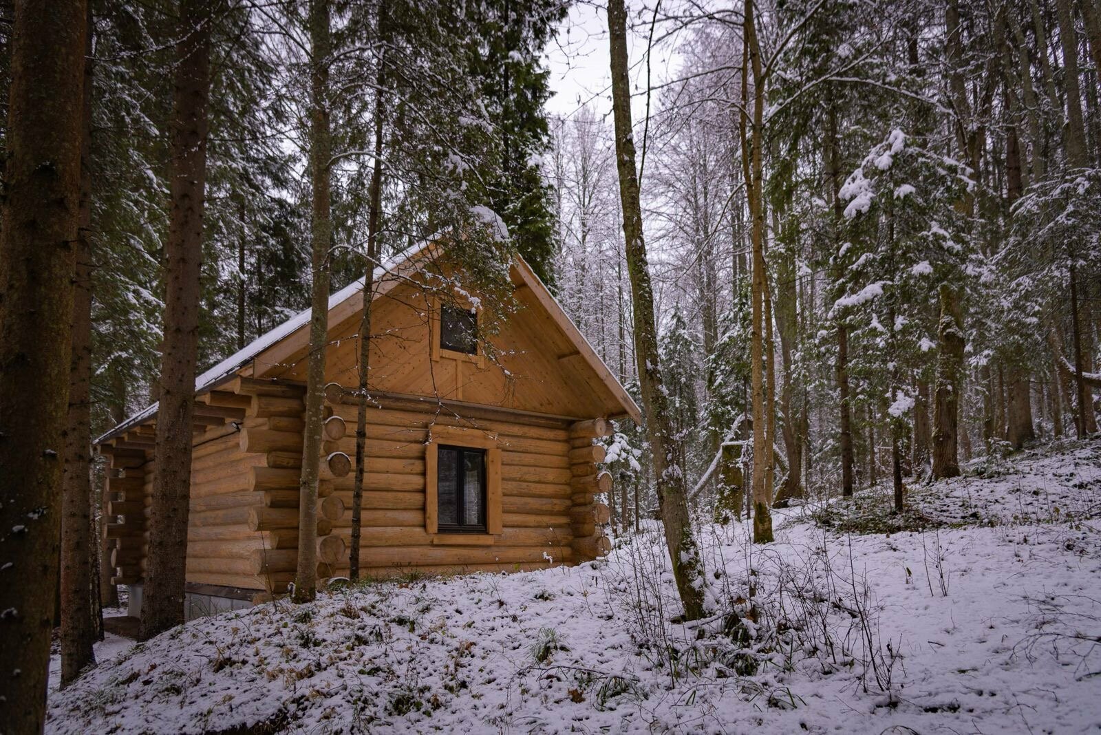 Дом с камином