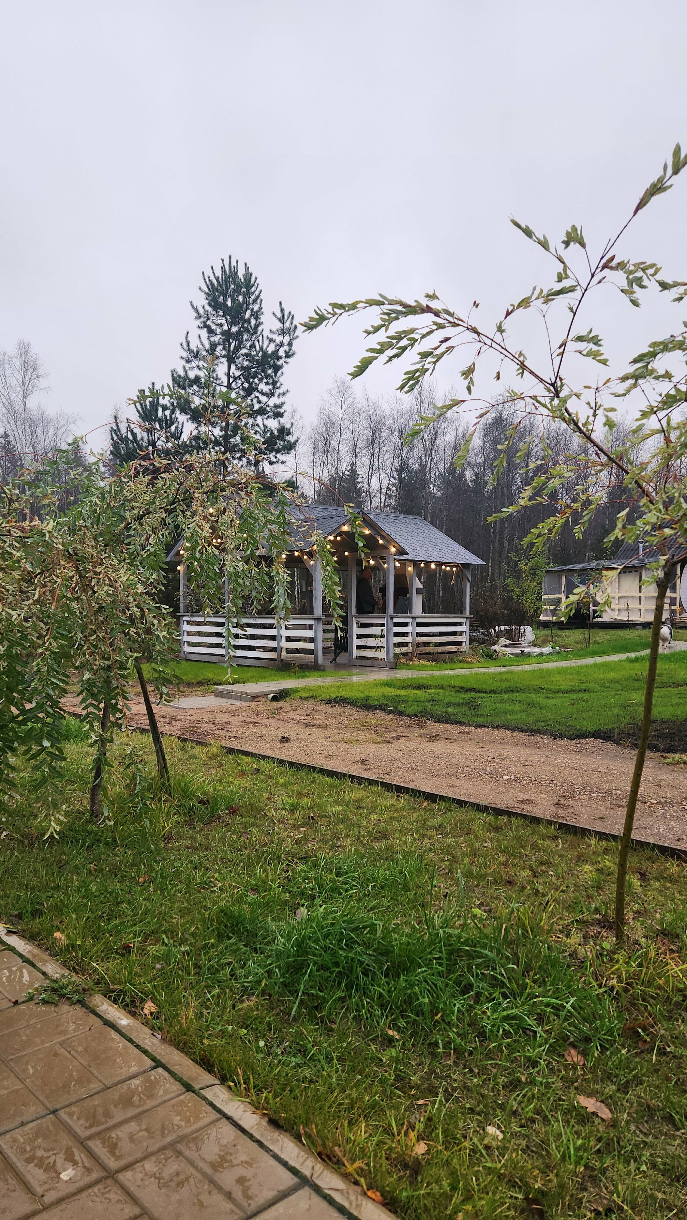 Дом с видом на лес