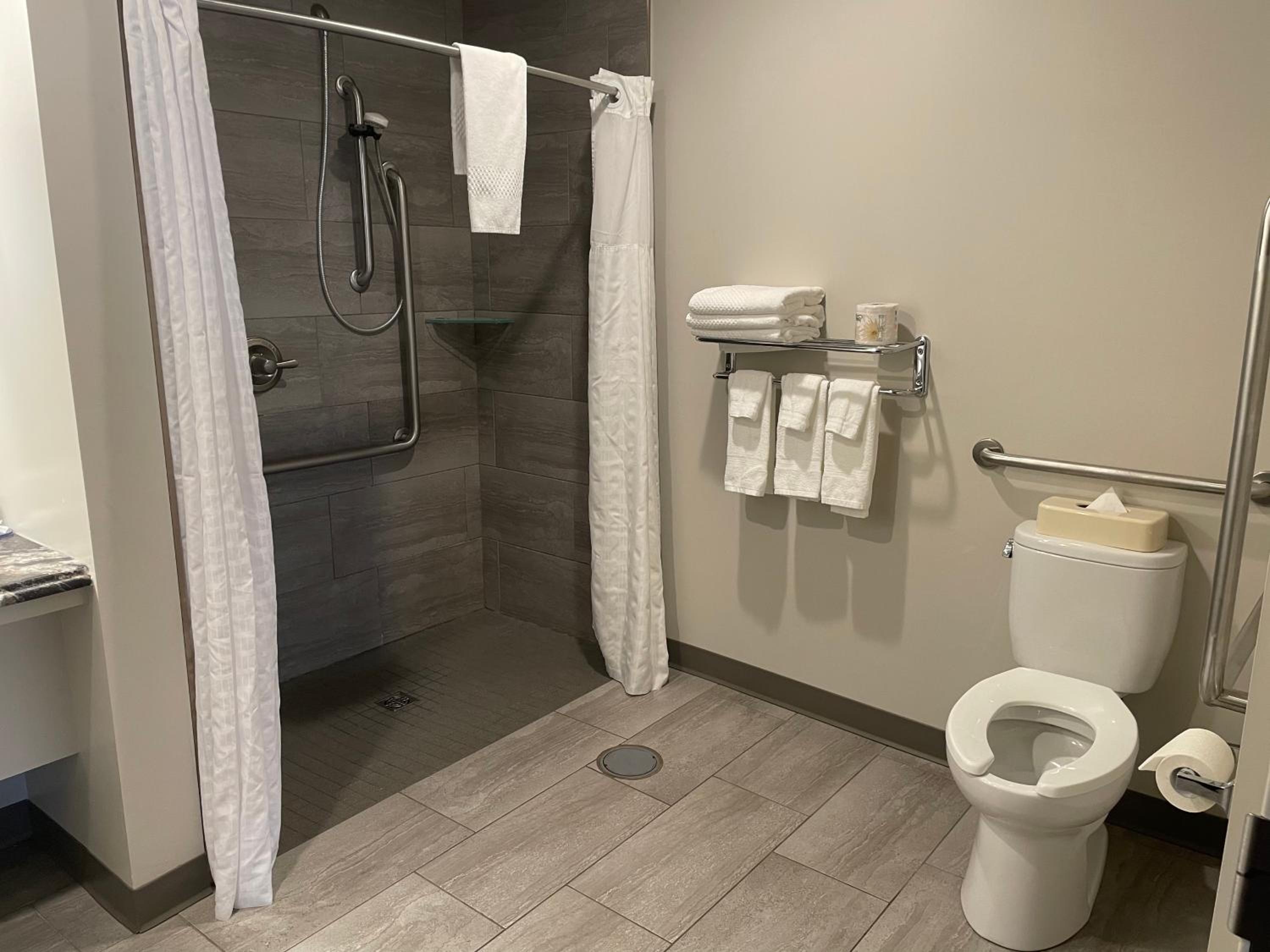 Superior Queen Room - Mobility Accessible Room with Roll-In Shower/No Pets/Non-Smoking