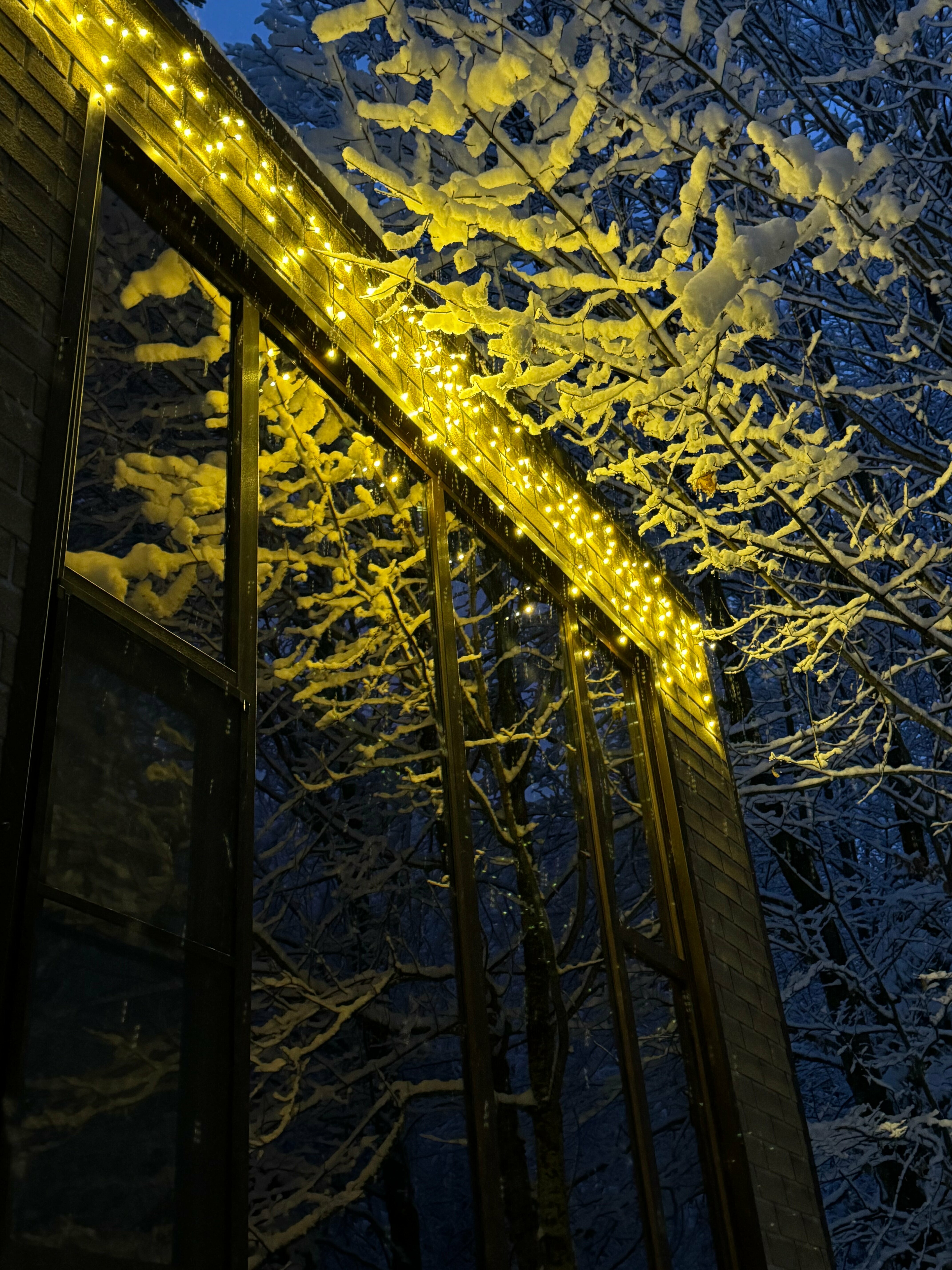 Четырехместный стандарт