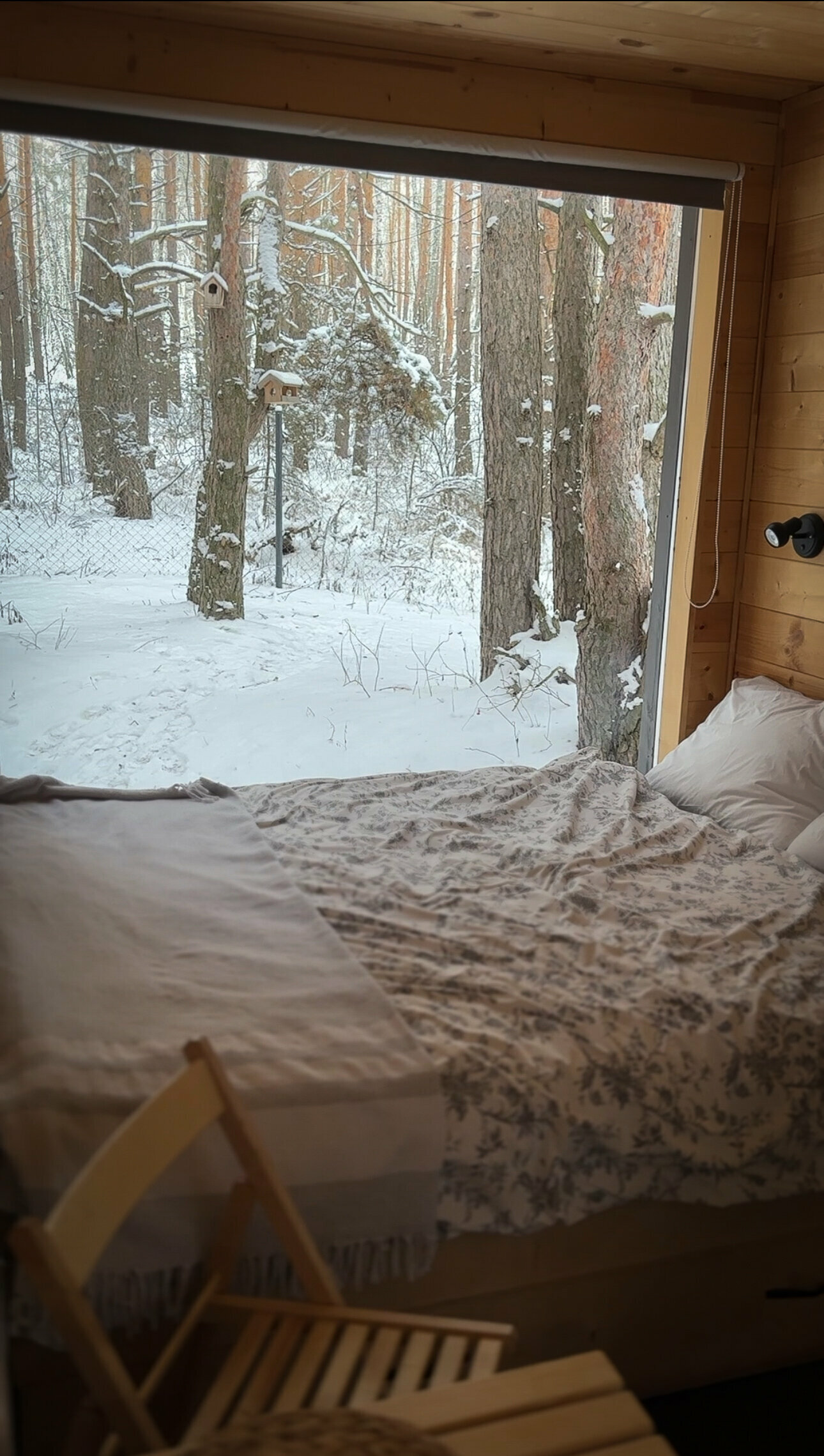 Дом с видом на лес