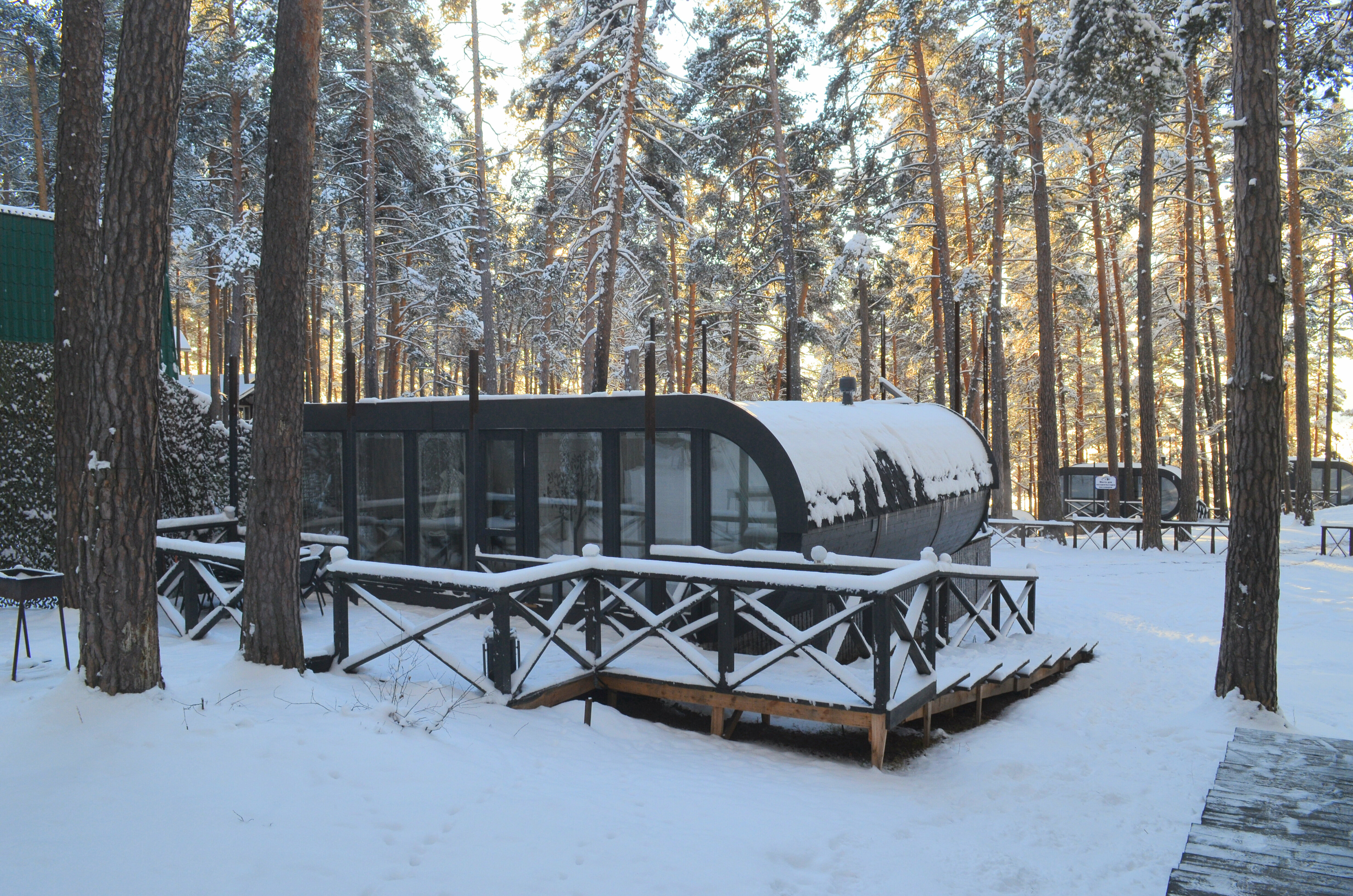 Улучшенная капсула