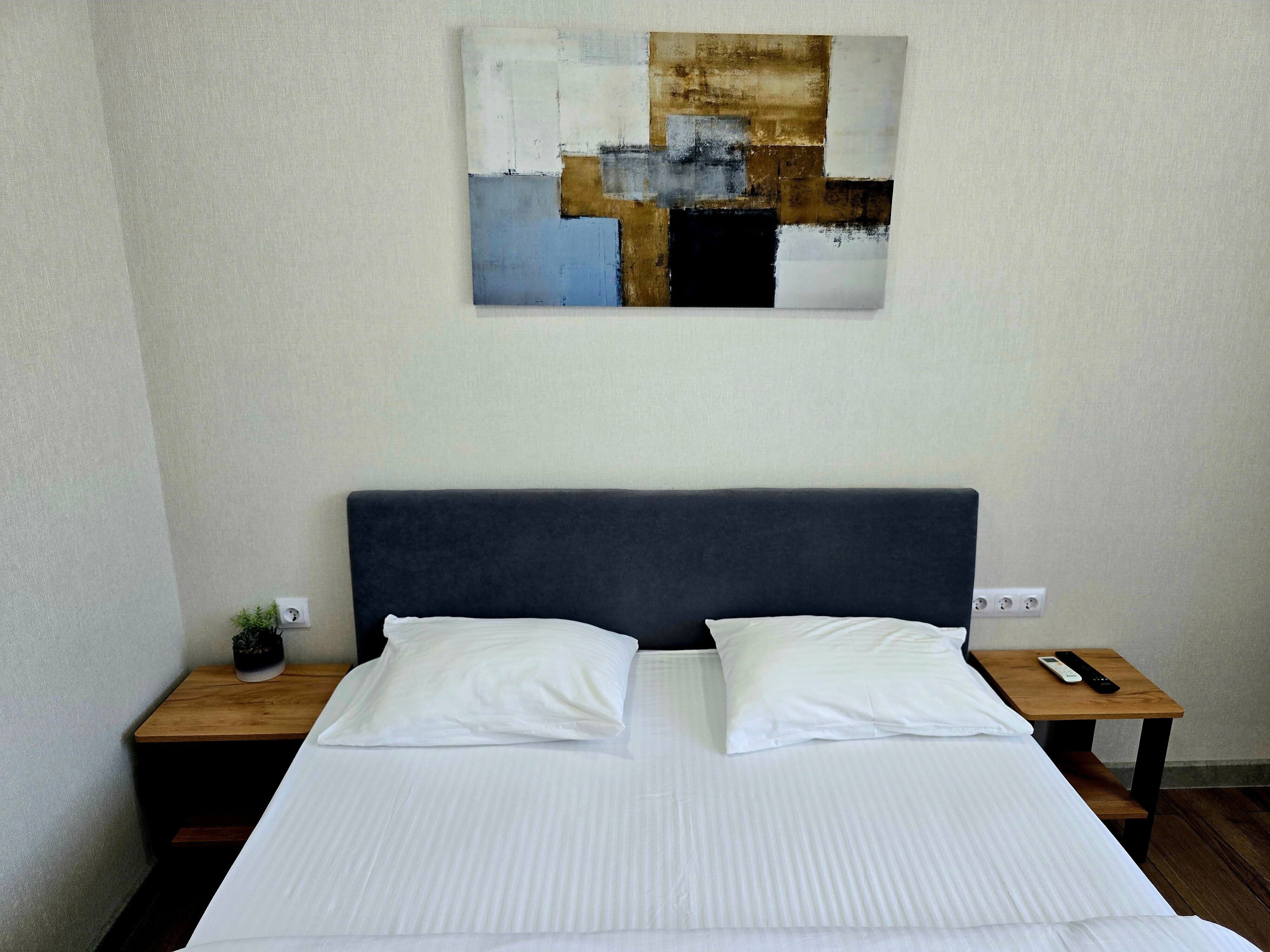 Двухместный номер с 1 кроватью и видом на сад