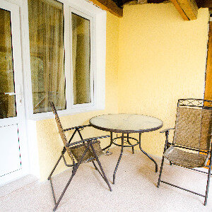 Двухкомнатный двухместный (мини кухня)