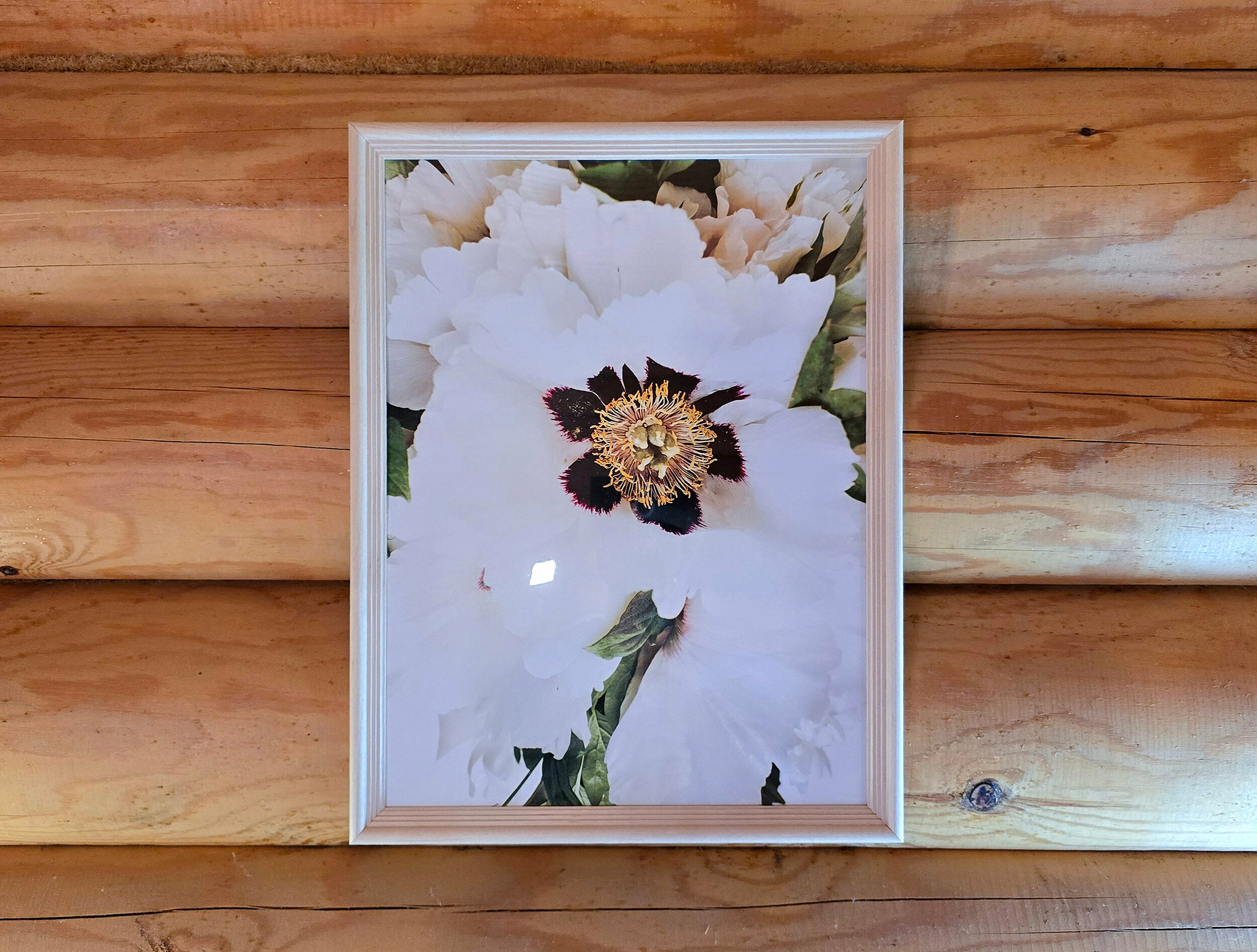 Стандартный четырехместный номер