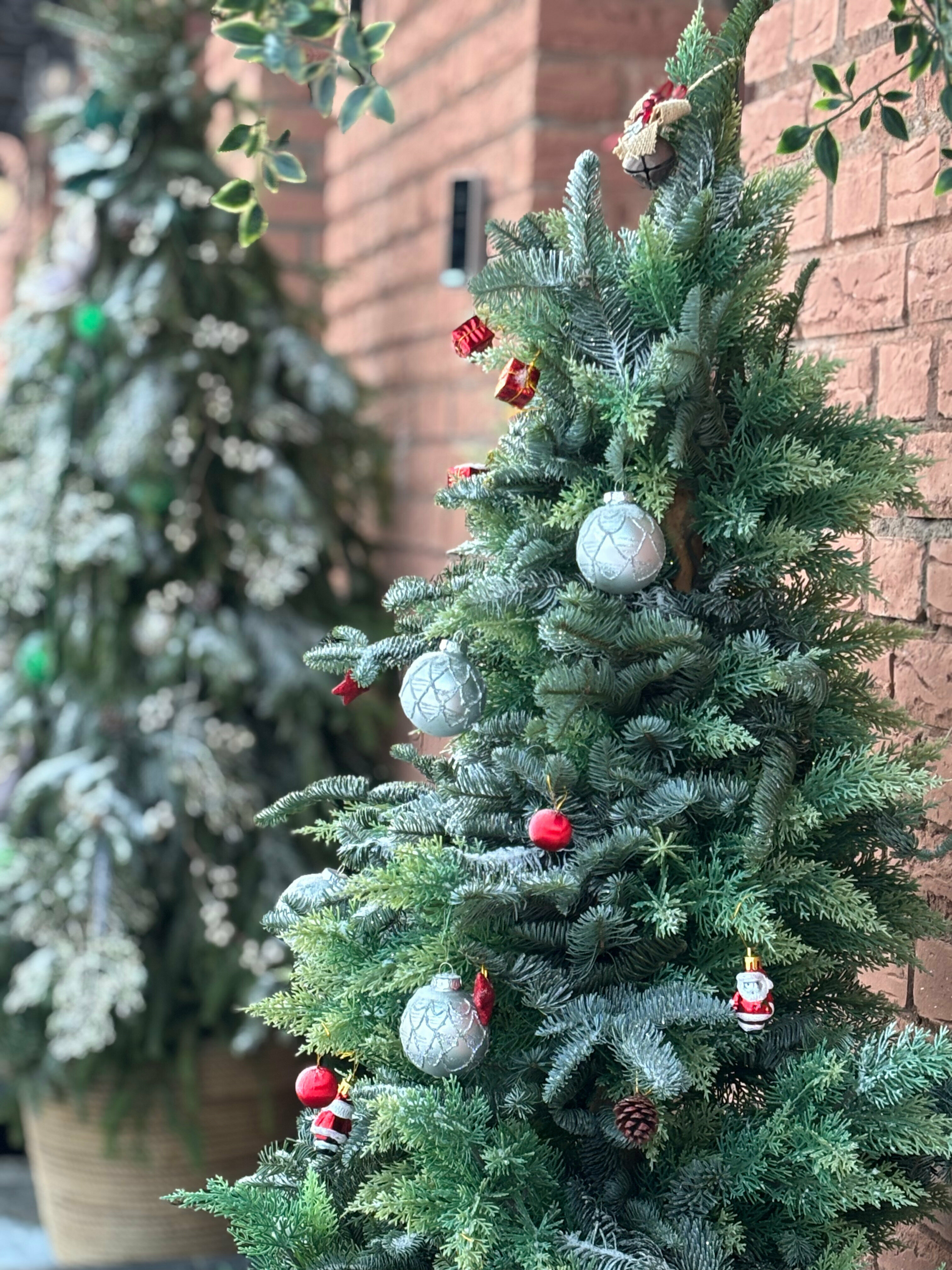 Двухместный номер с 2 отдельными кроватями