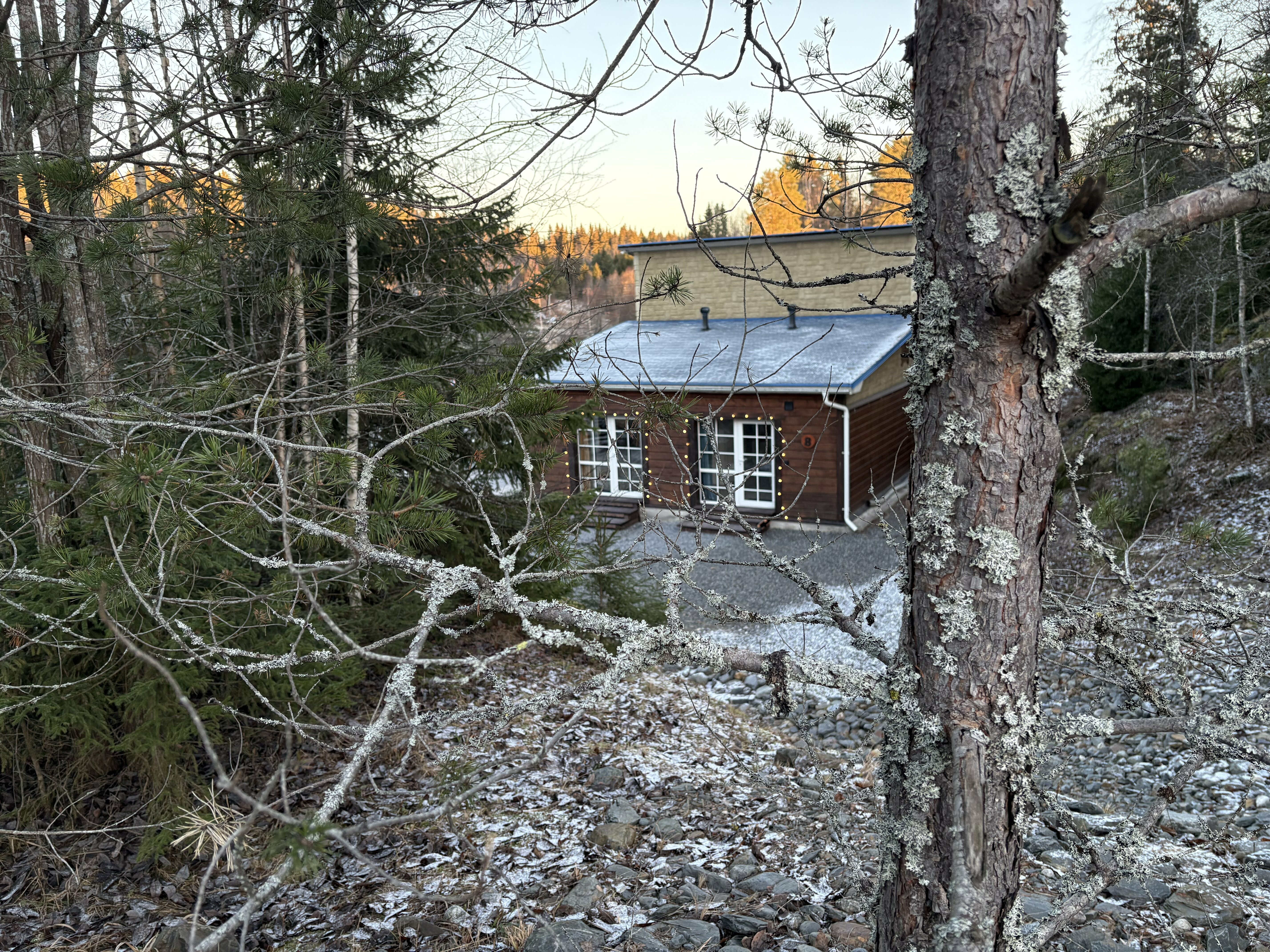 Студия-комфорт в загородном доме с видом на лес