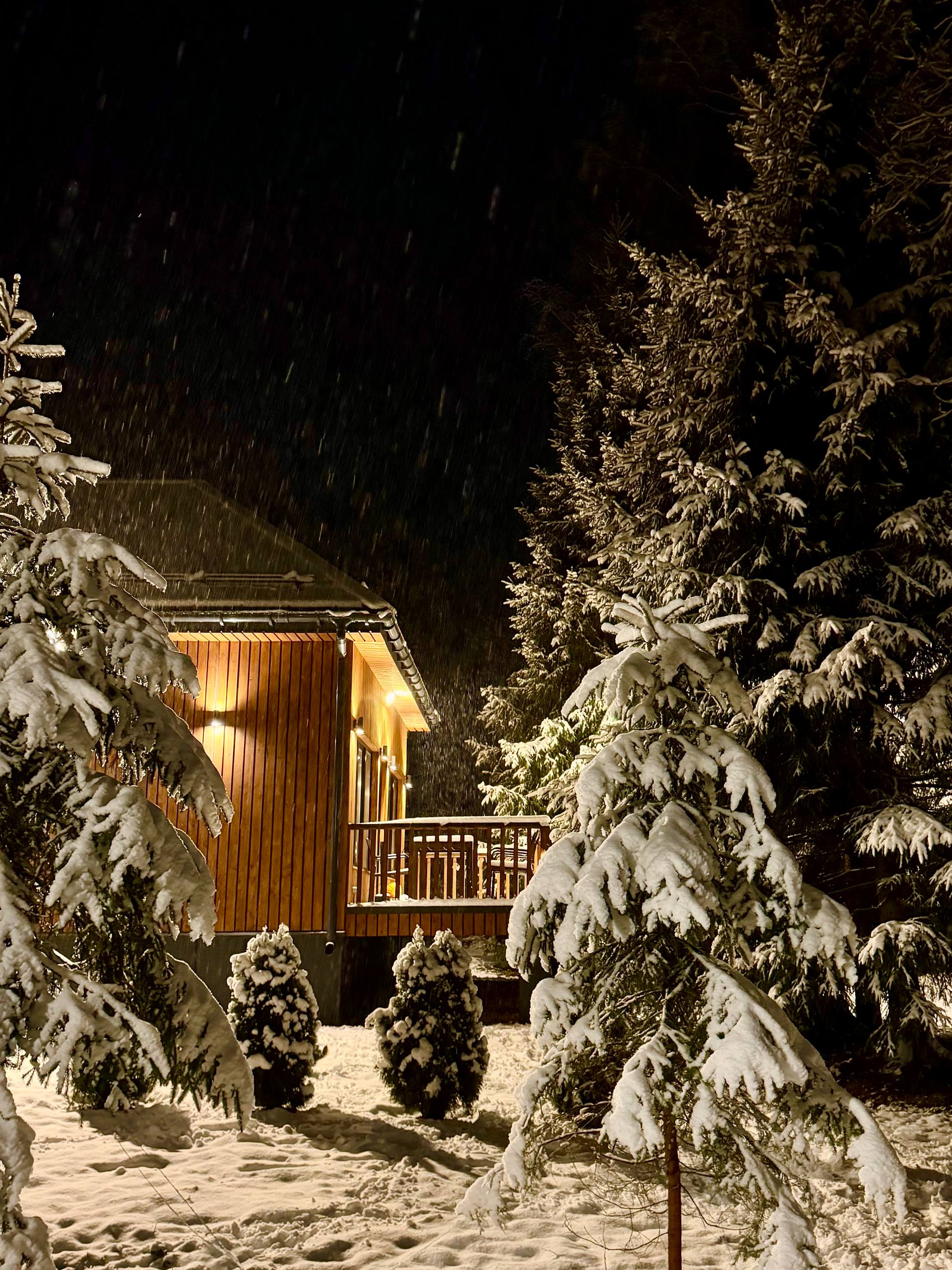 Дом с сауной и чаном с видом на ели