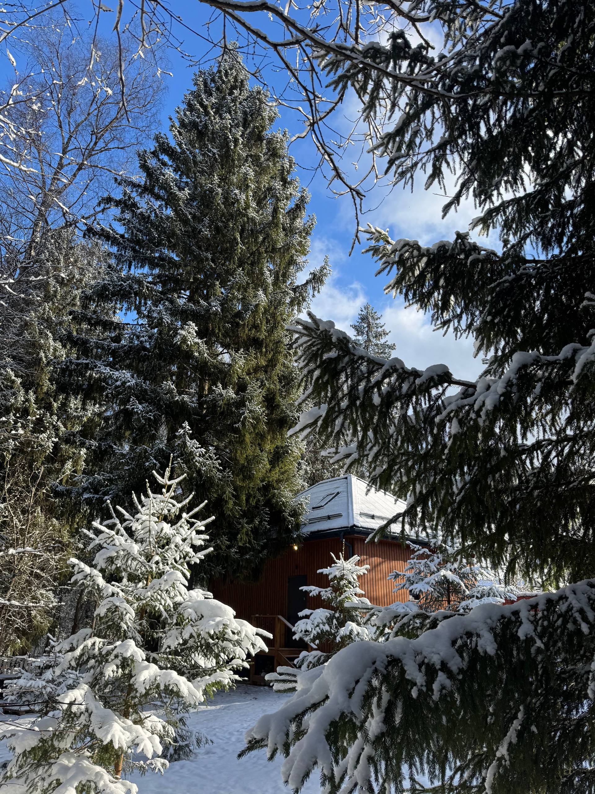 Дом с сауной и чаном