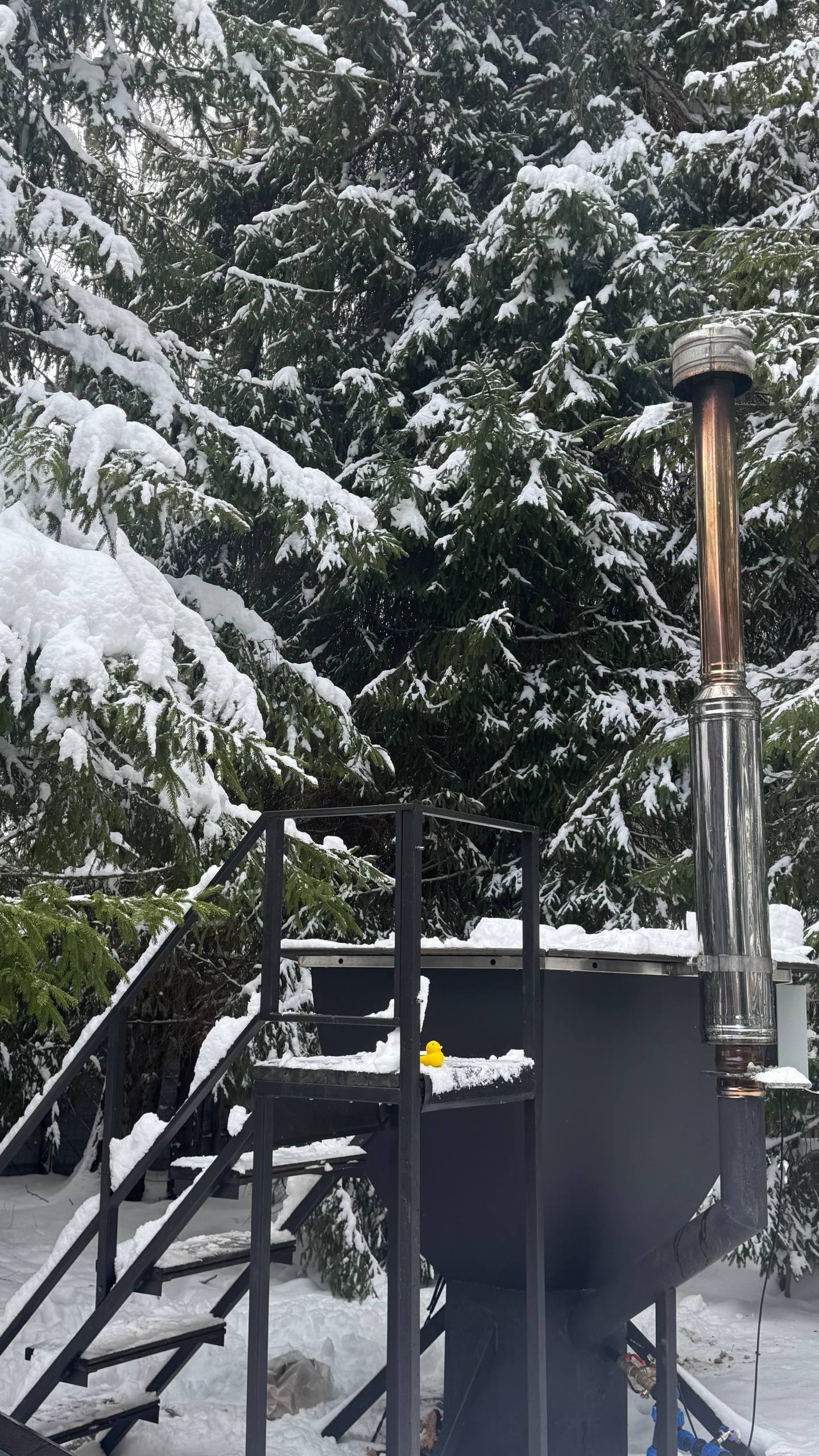 Дом с сауной и чаном с видом на ели