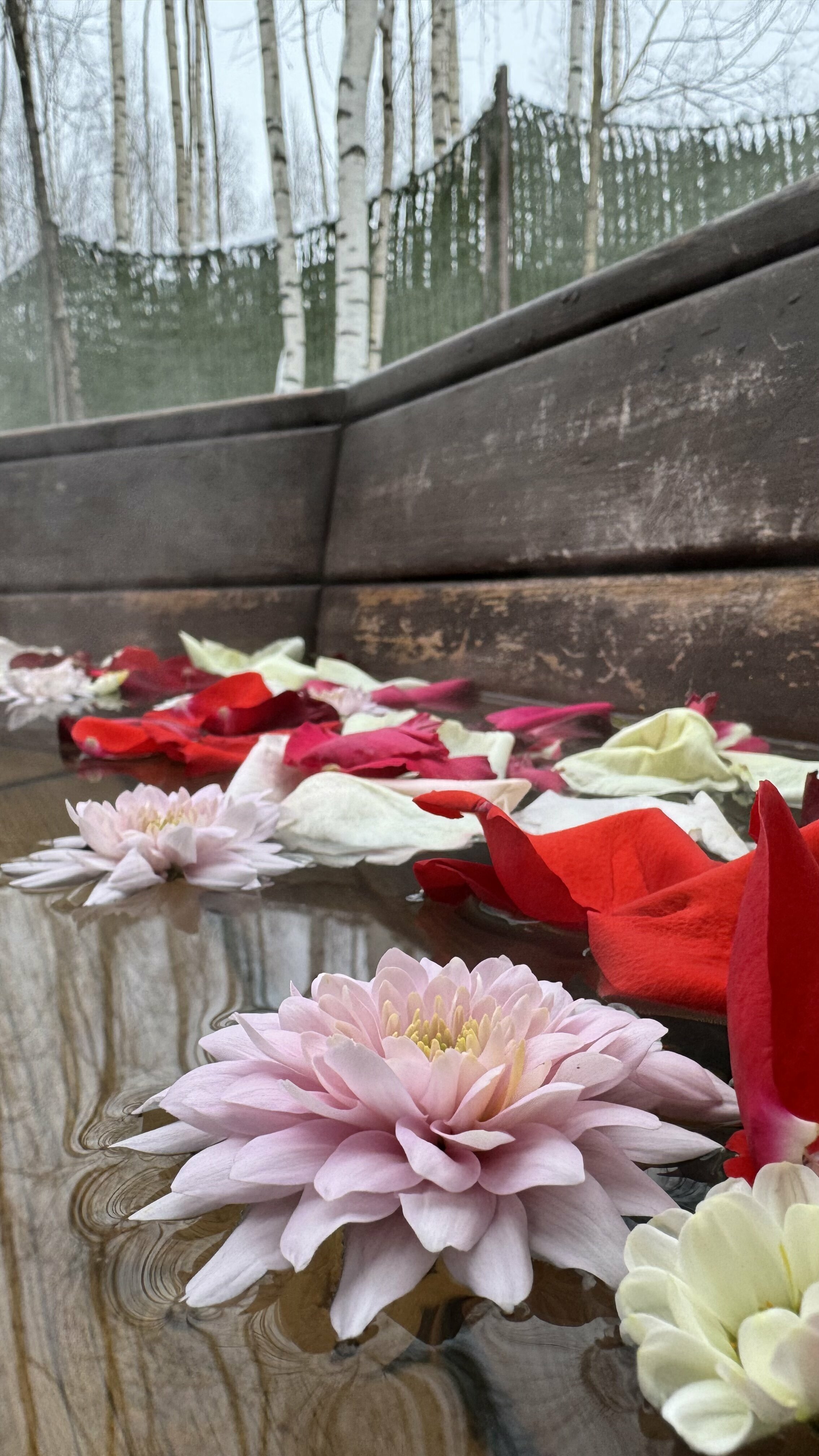 Коттедж с баней (66 кв.м)