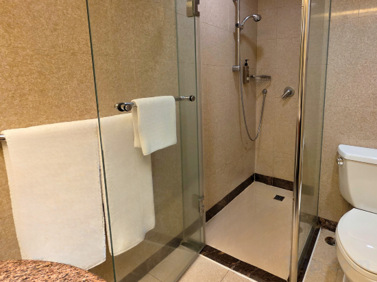 Superior Side Harbour View Room