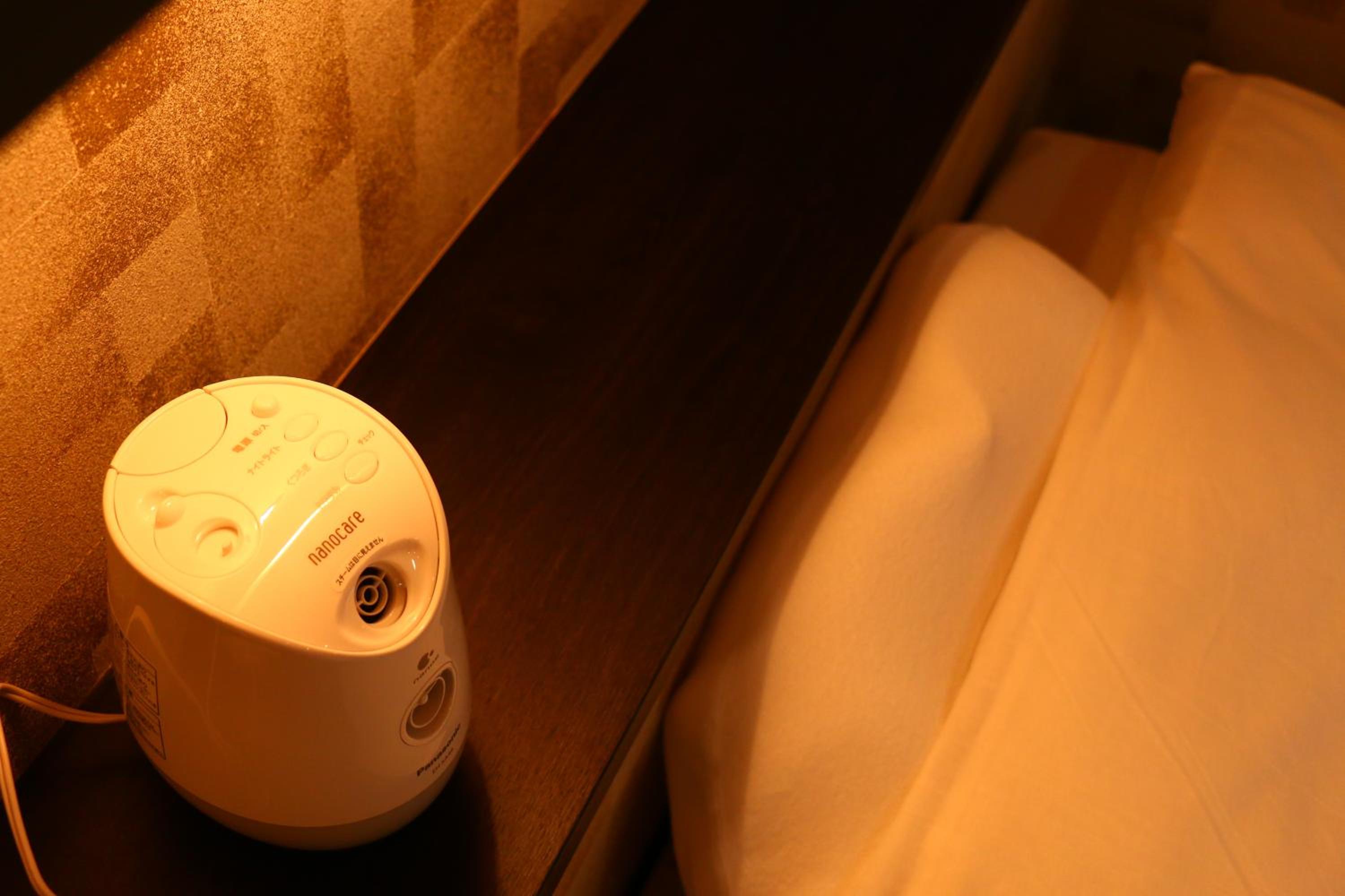 Japanese-Style House - Annex