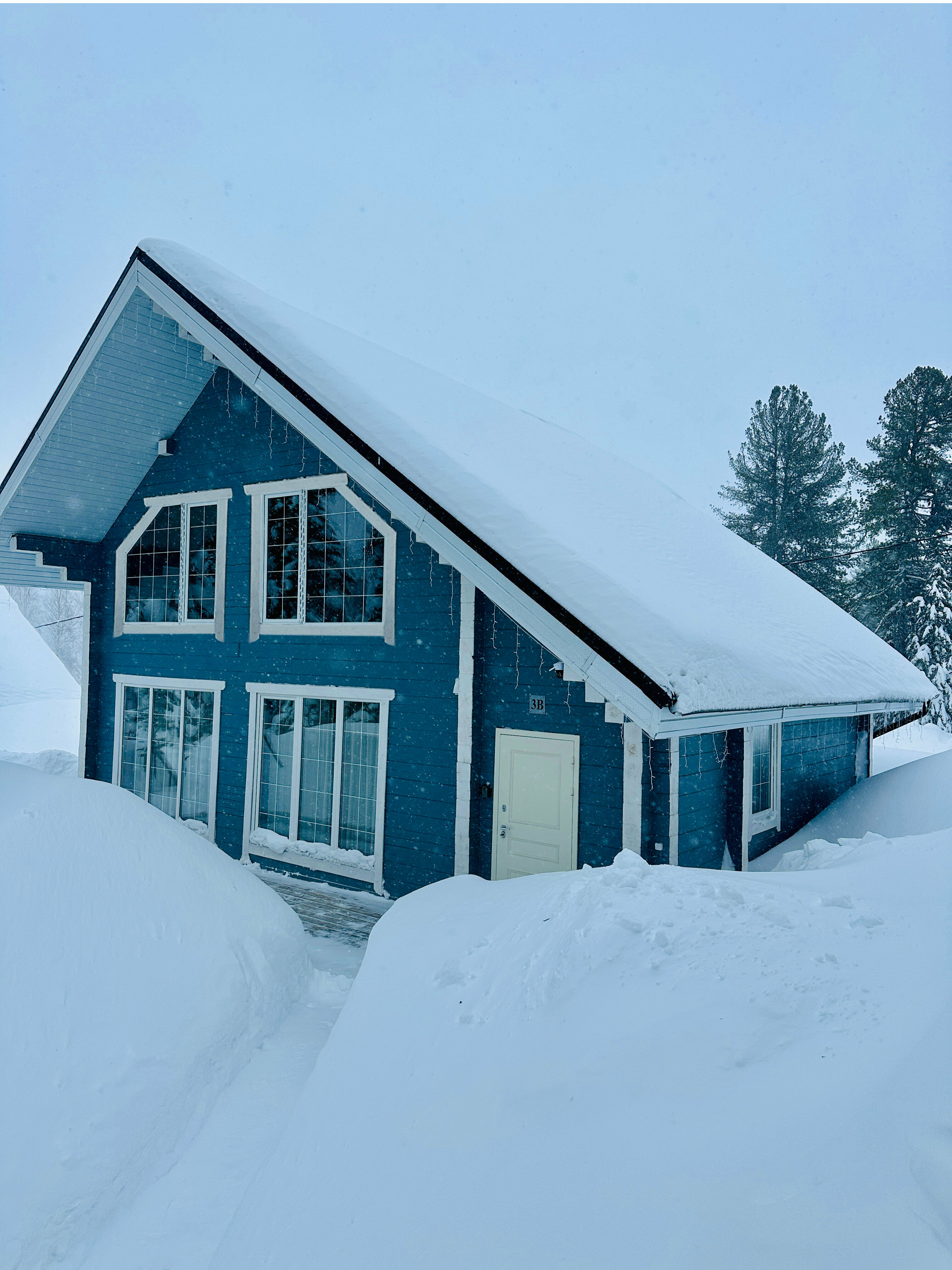 (3В) Коттедж 8 мест