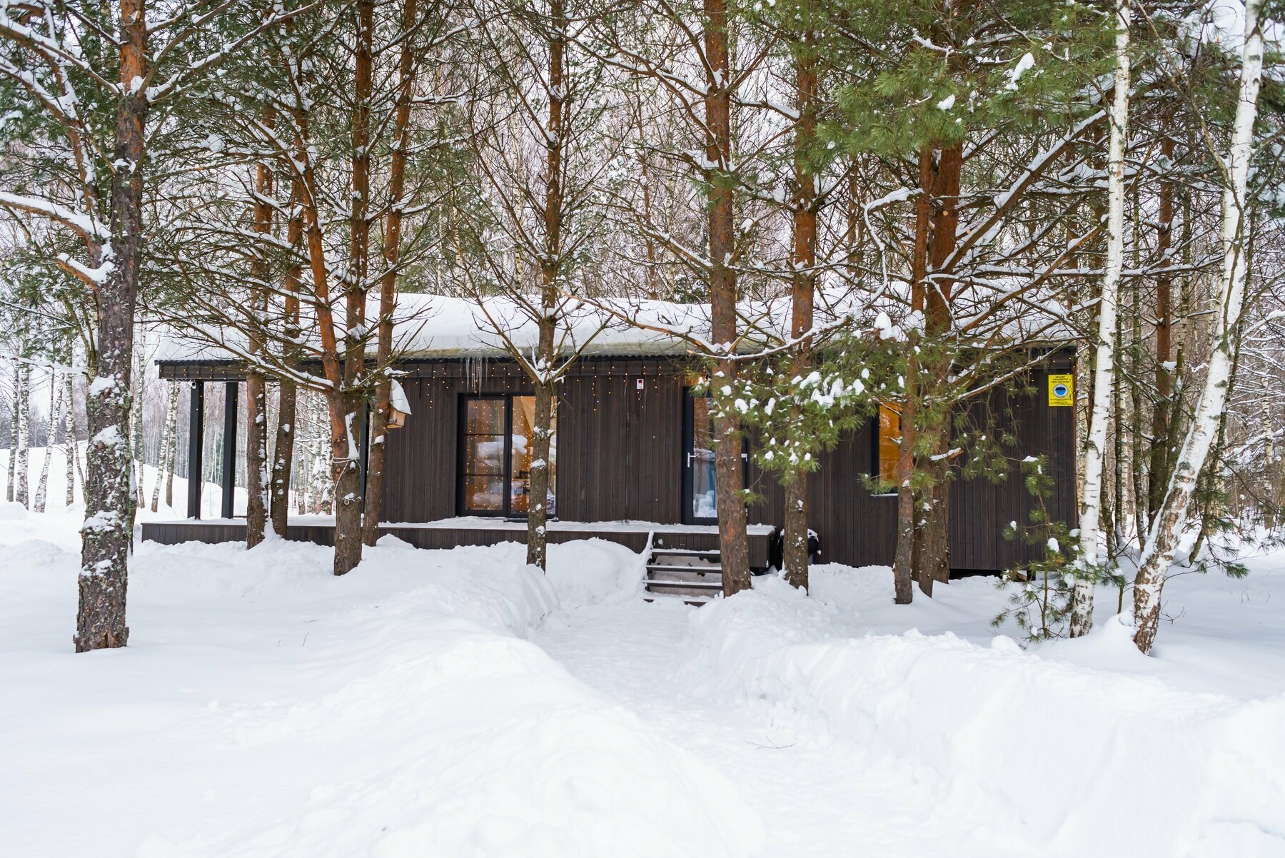 Коттедж с видом на лес