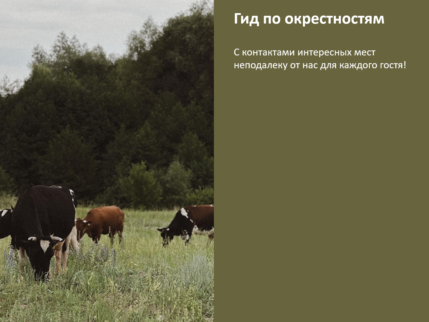 Дом для семейного отдыха