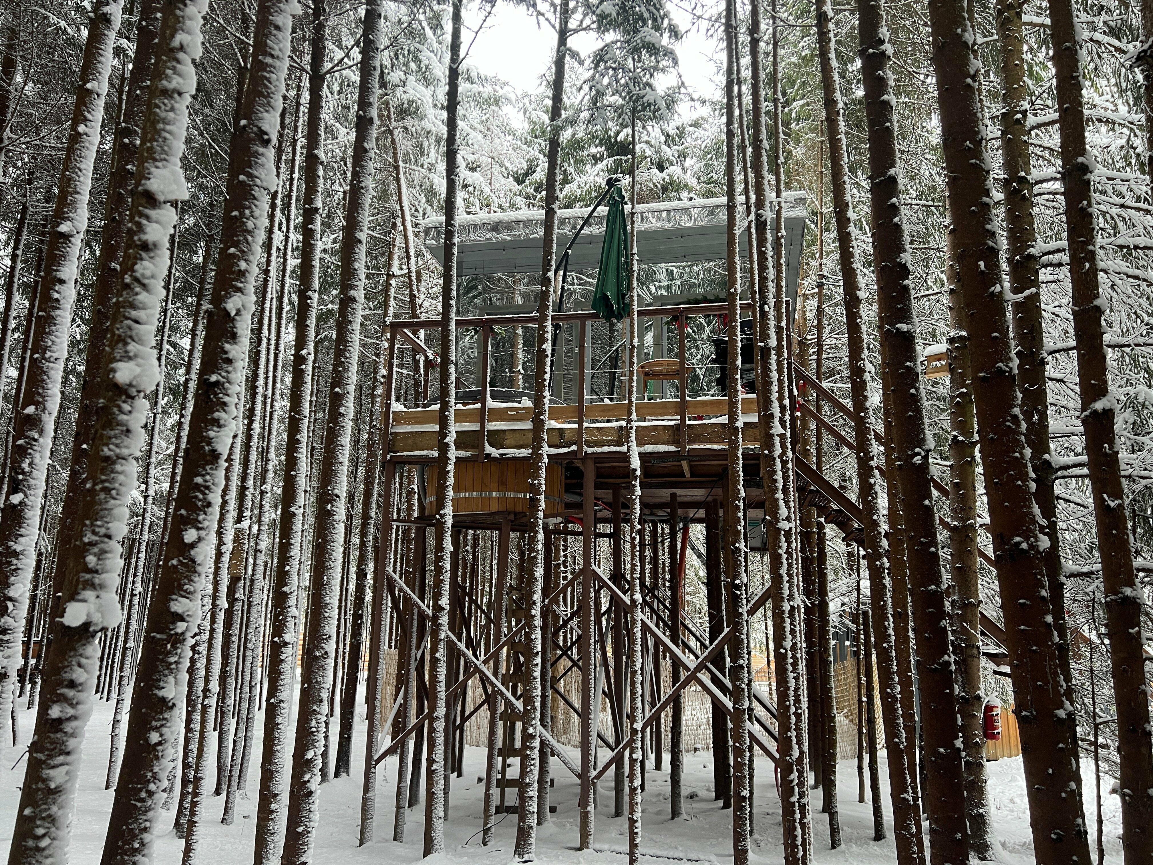 Зеркальный дом на дереве Романтик