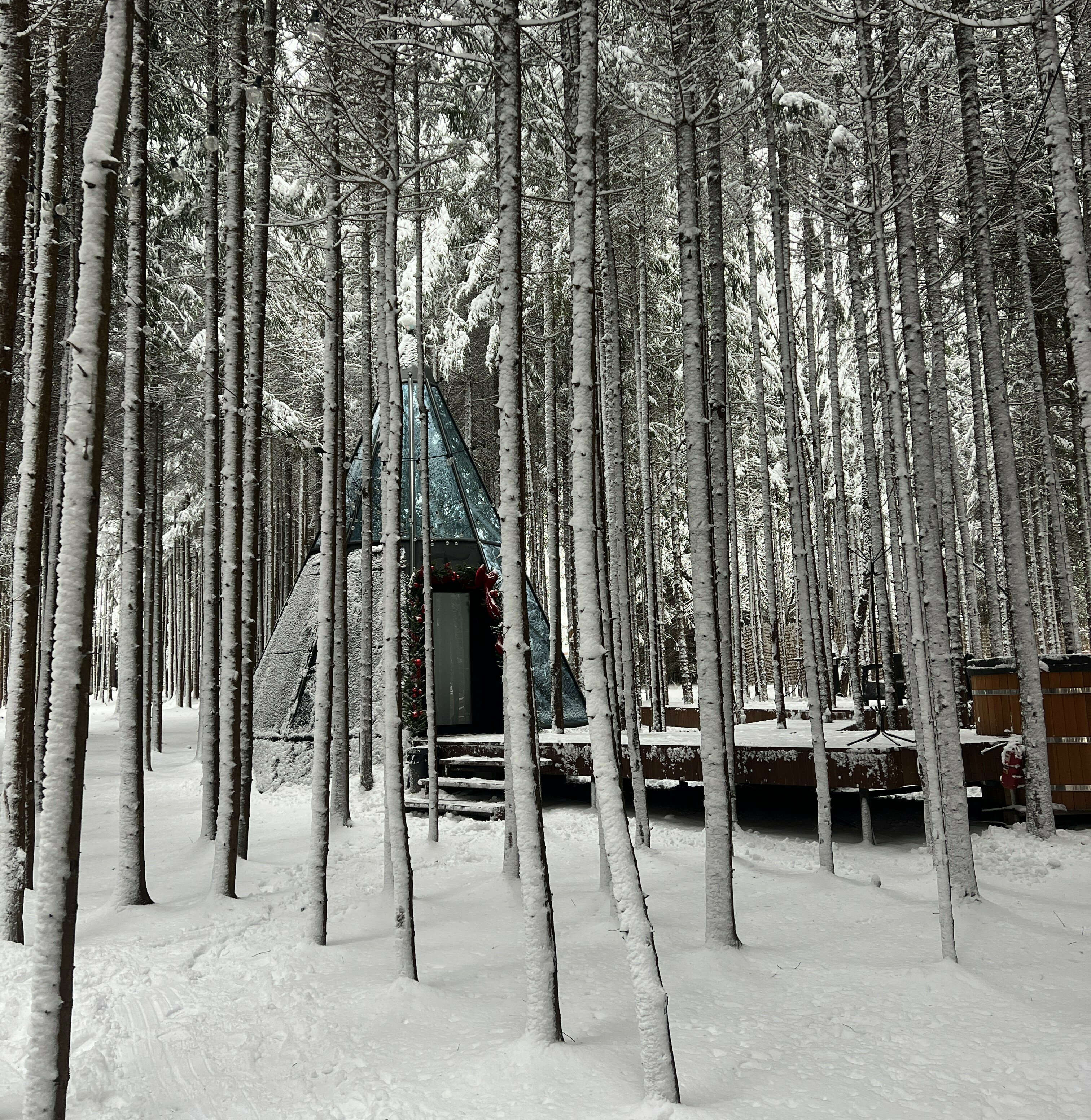 Люкс с террасой