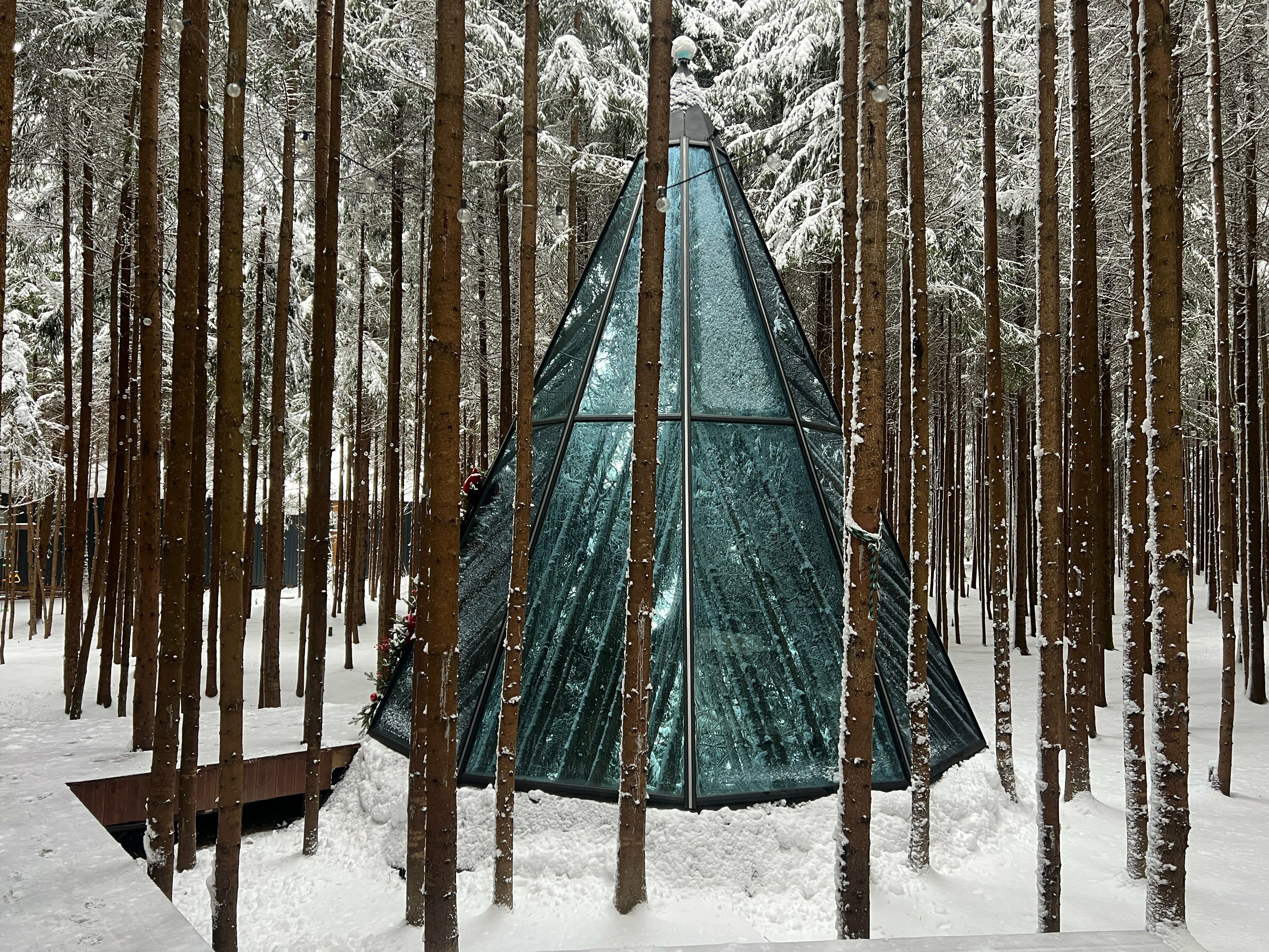 Люкс с террасой