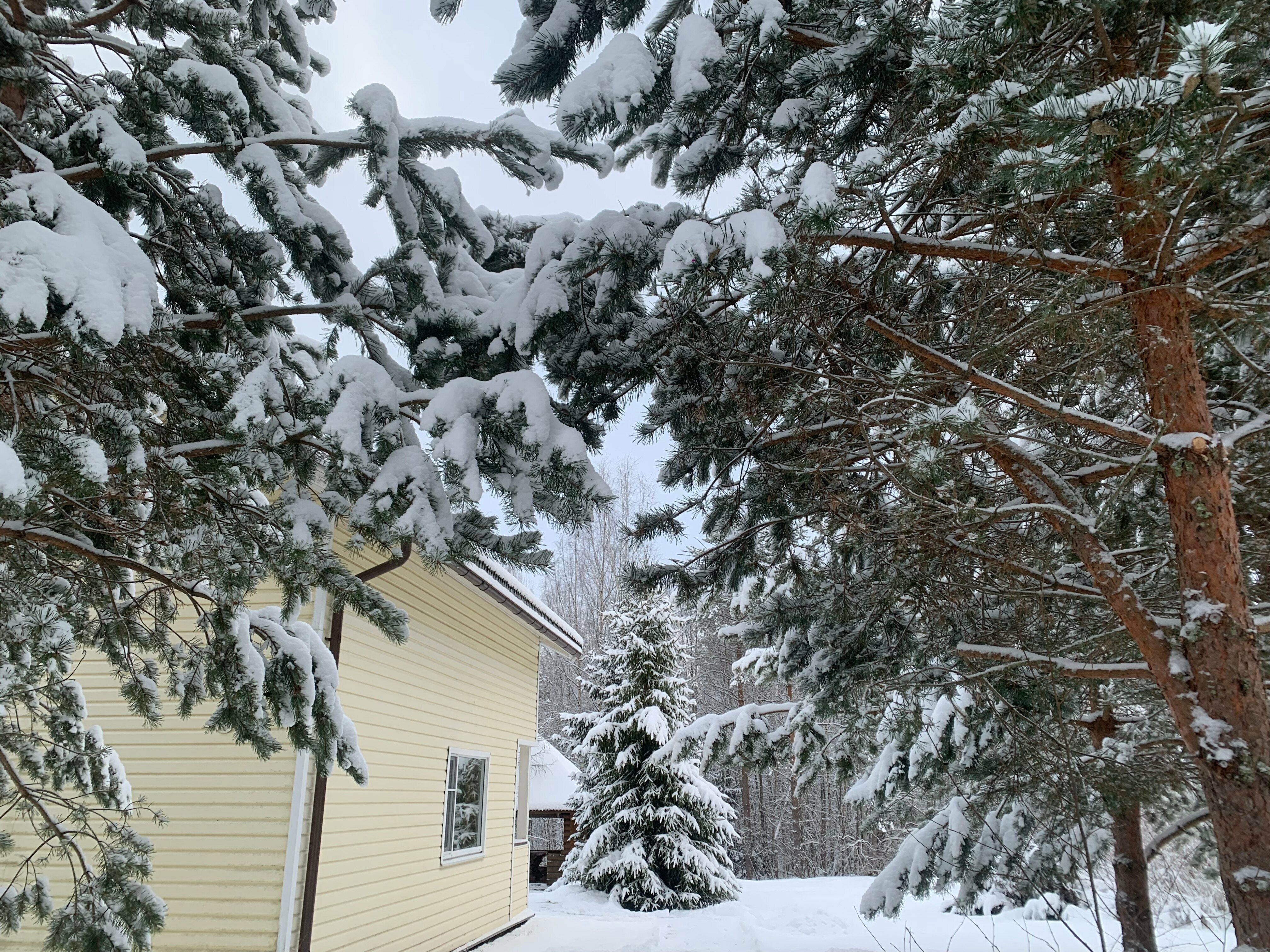 Дом N2 на 4+1 человек с сауной и беседкой с мангалом