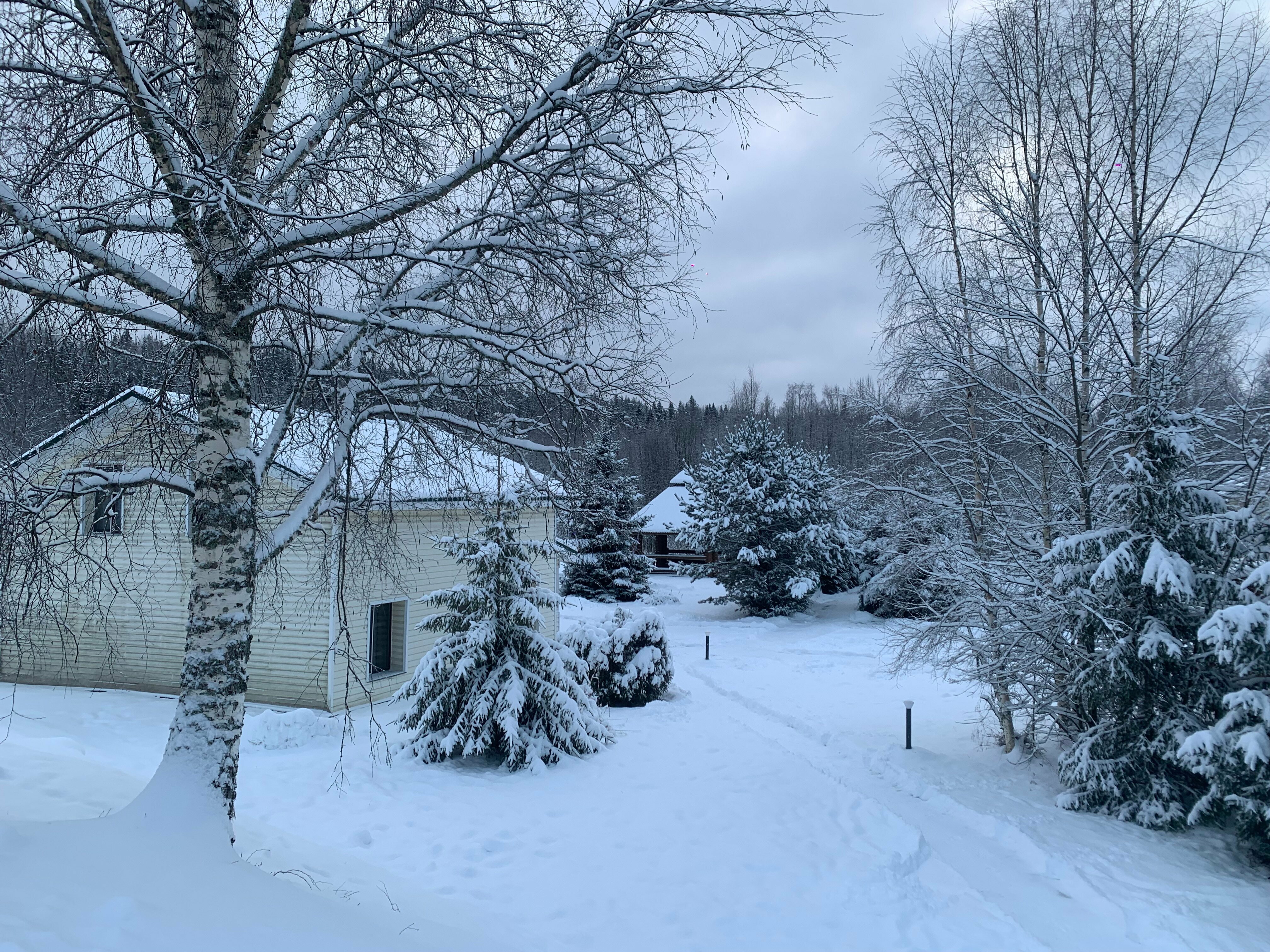 Дом 1 на 6+1 человек с сауной, беседкой и мангалом