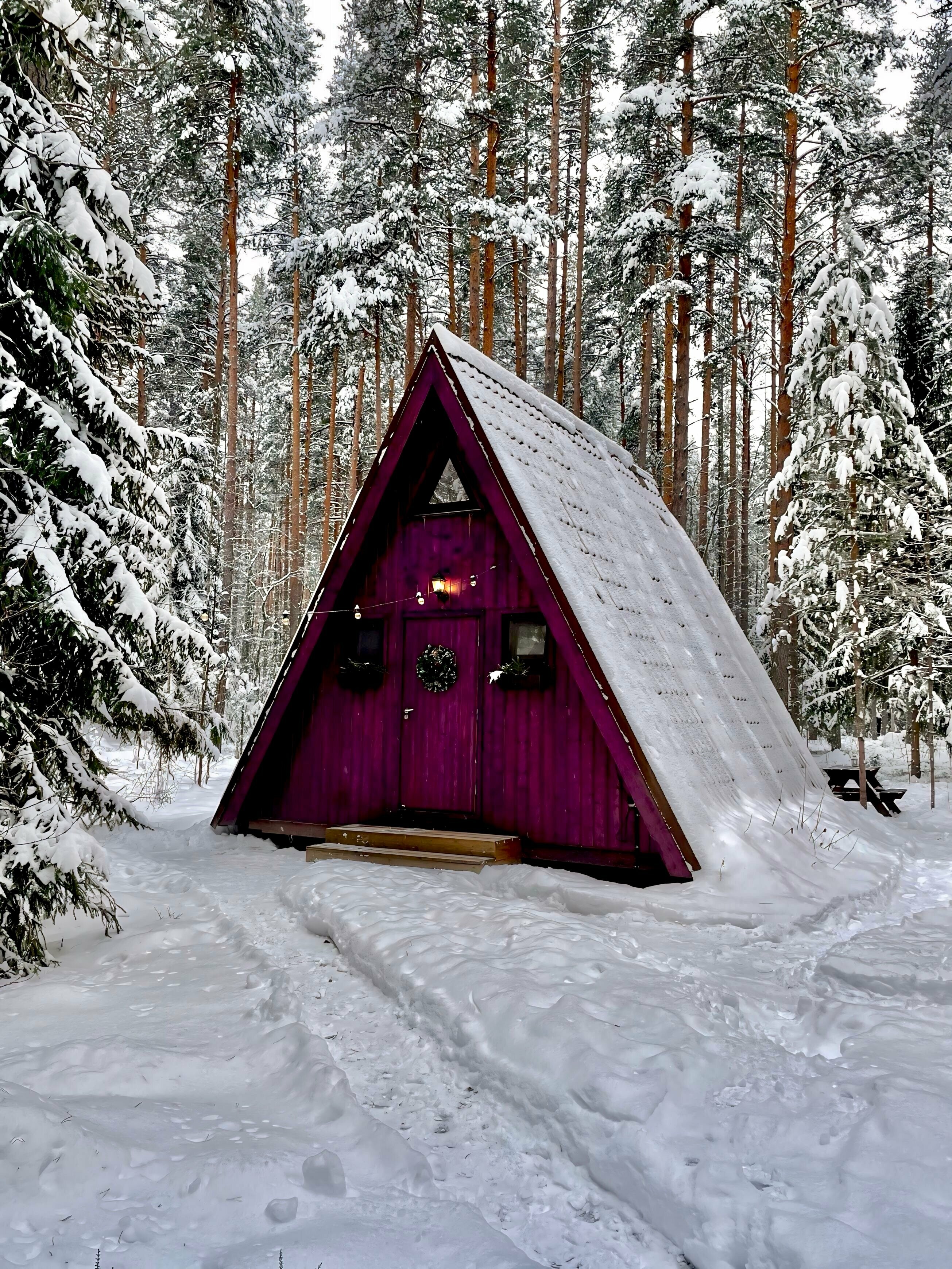 Фиолетовый домик без купели