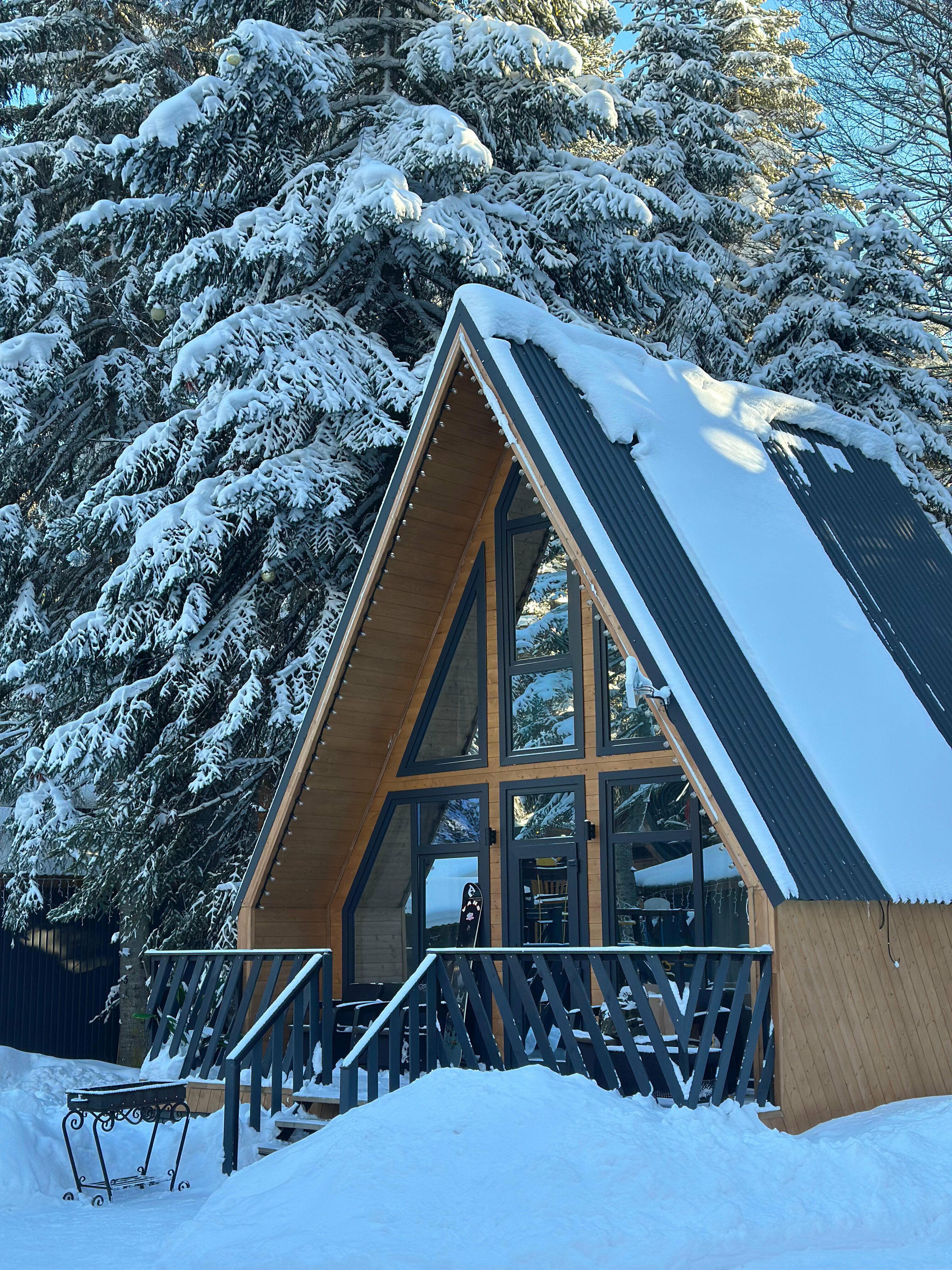 Афрейм с видом на горы и лес