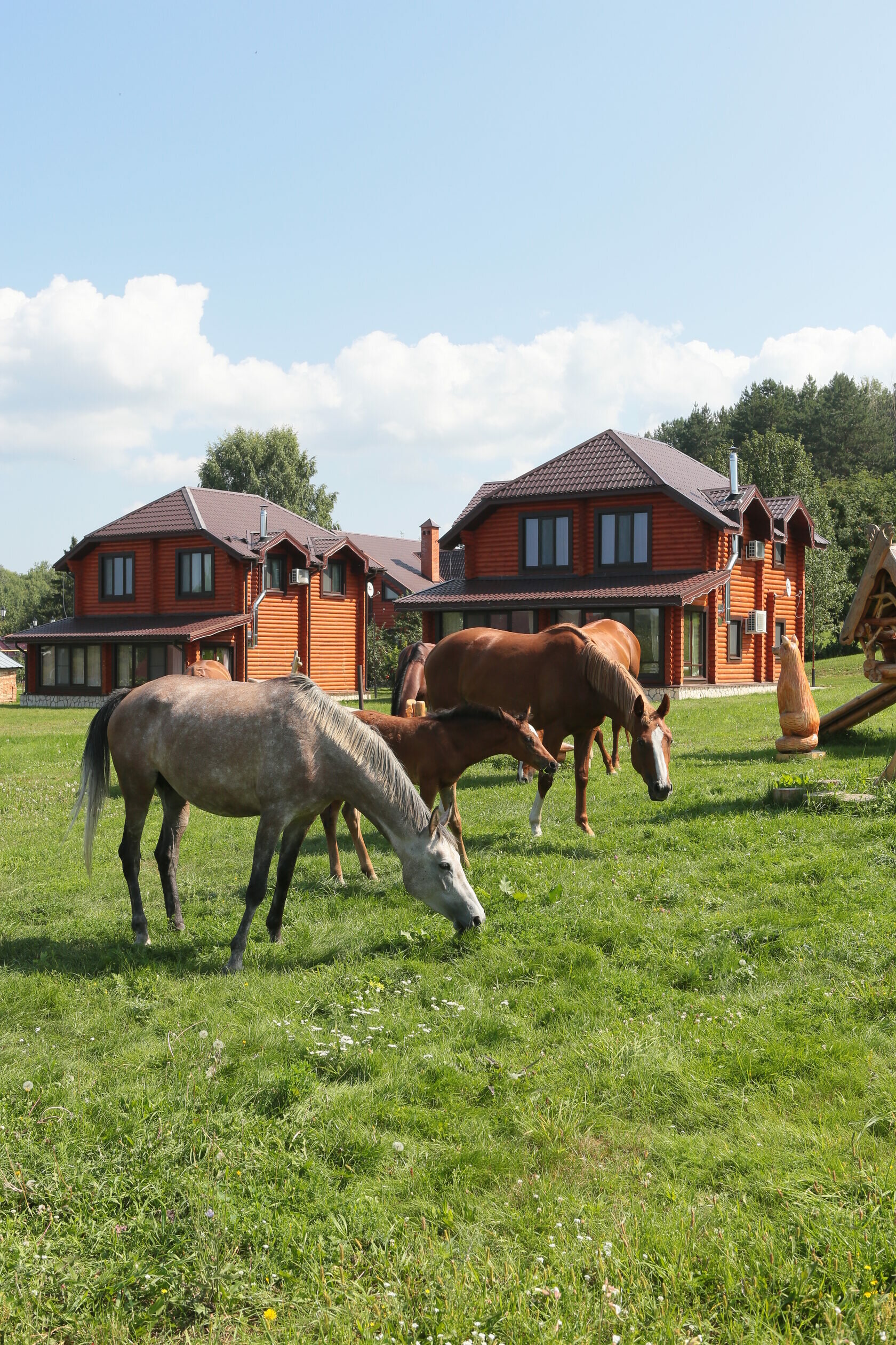 Номер категории семейный
