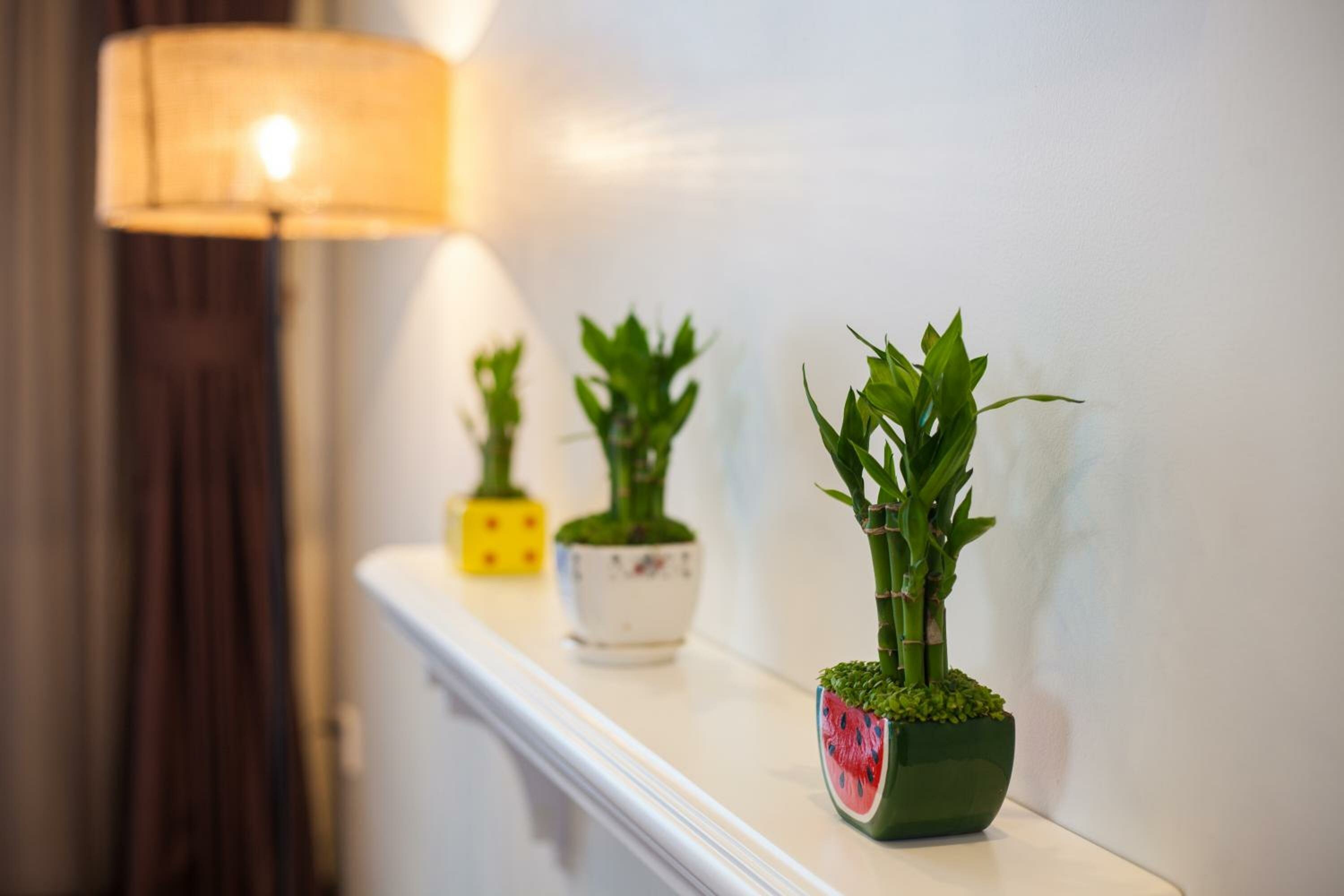  One Bedroom Suite with Balcony