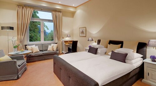 Superior Room, 1 Double Bed, River View в Rheinhotel Dreesen