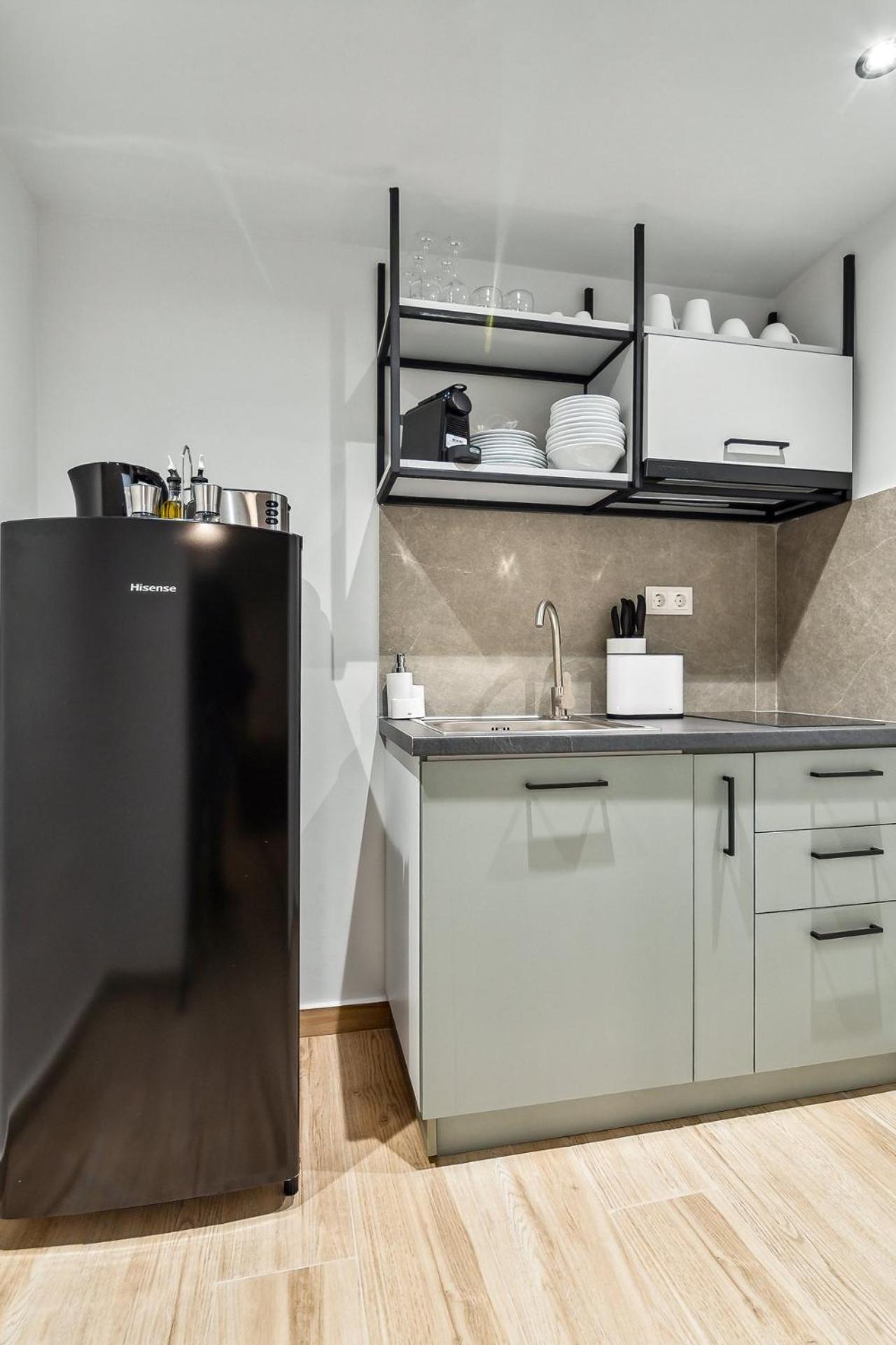 One-Bedroom Apartment with sofa bed