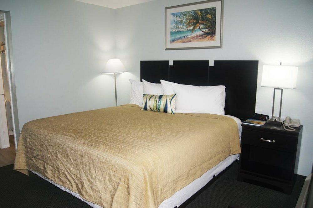 Standard Double Room, 1 King Bed, Non Smoking, Refrigerator & Microwave