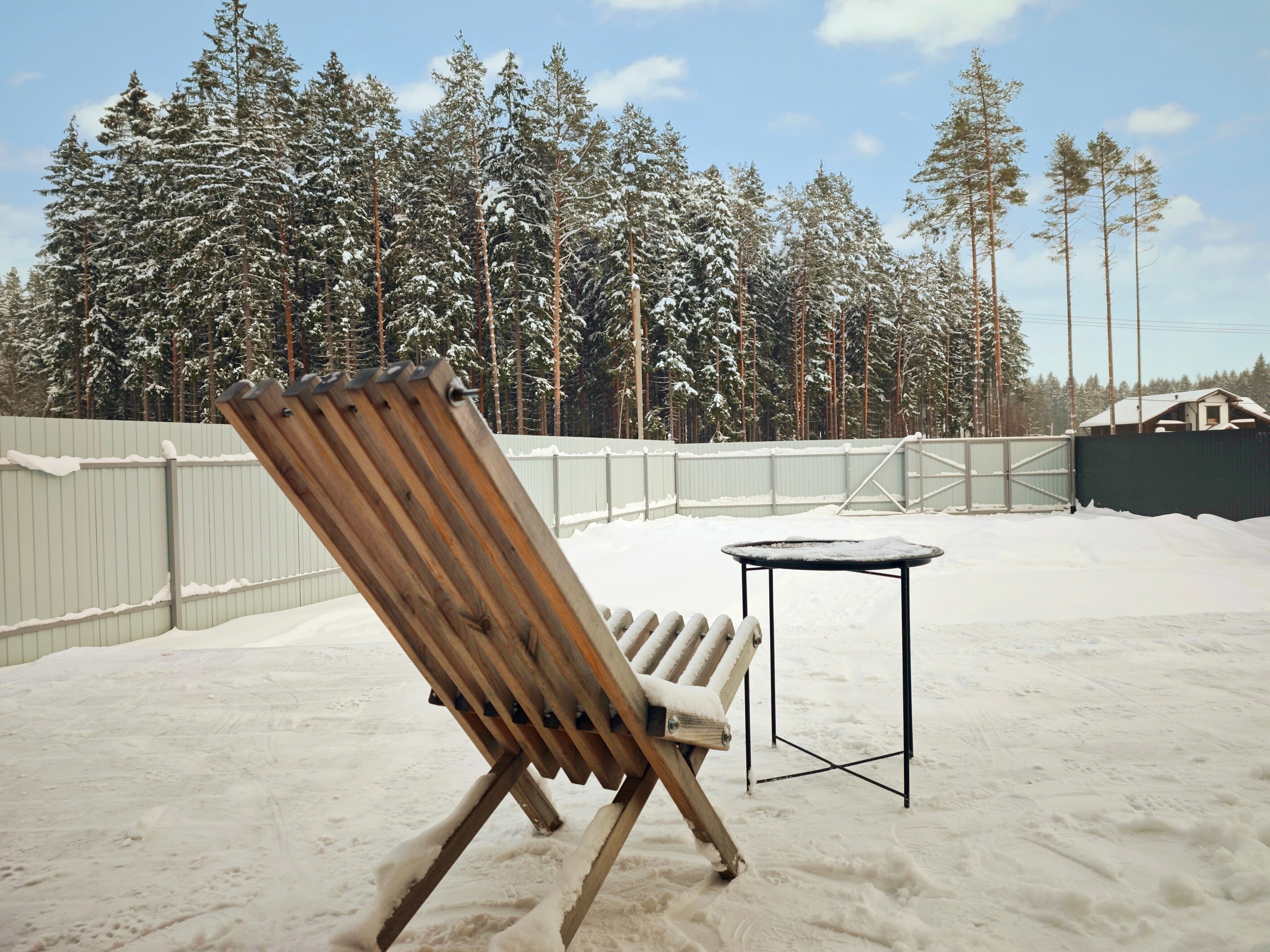 Дом с баней у леса