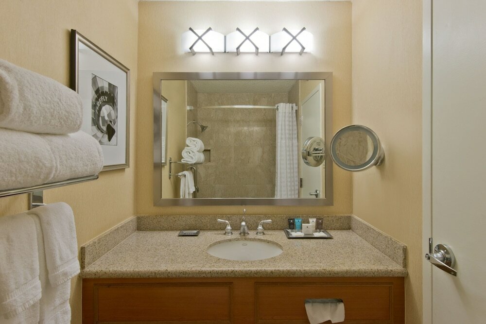 Suite, 1 Bedroom, Mountain View