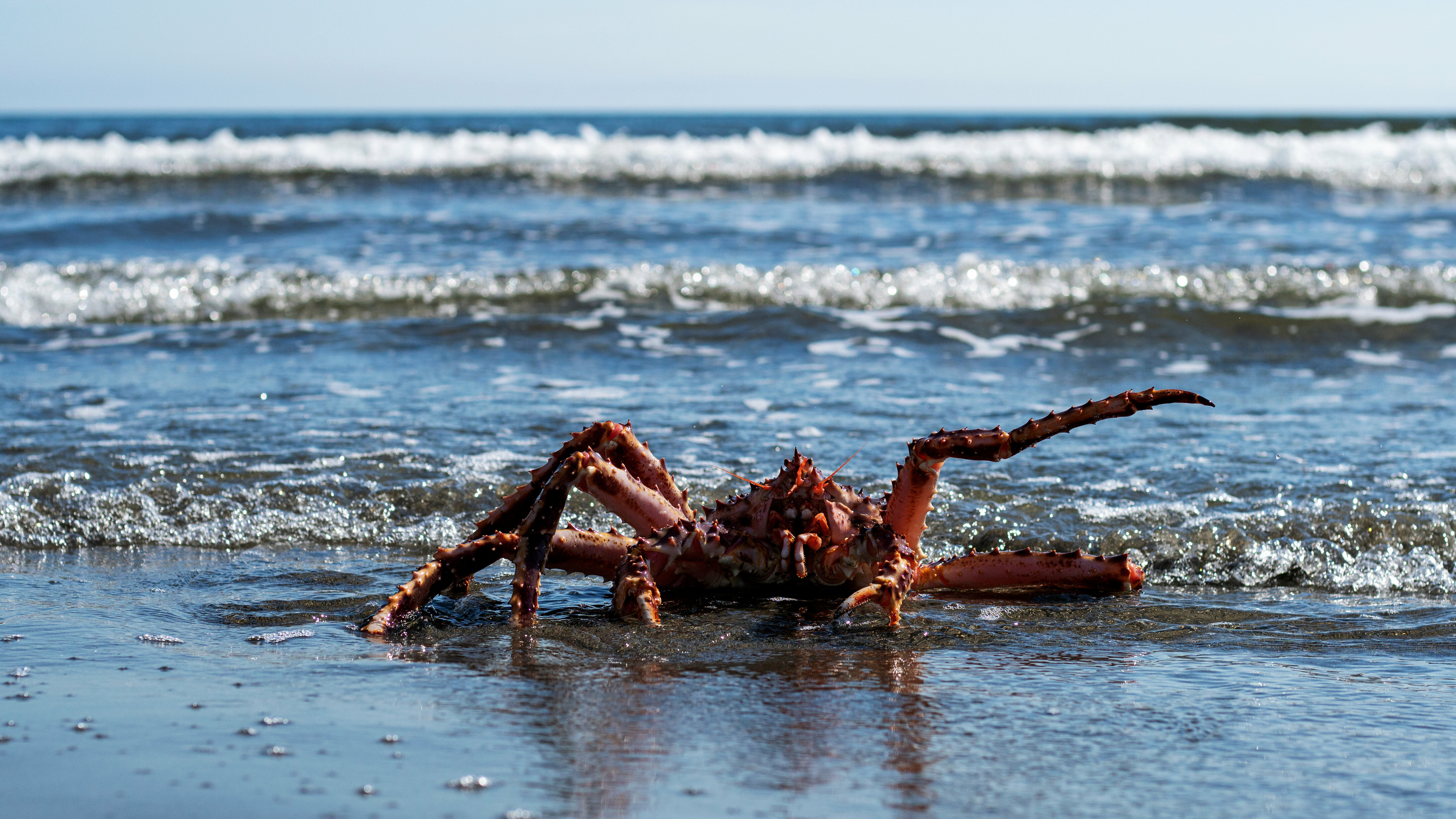 Трехместный номер
