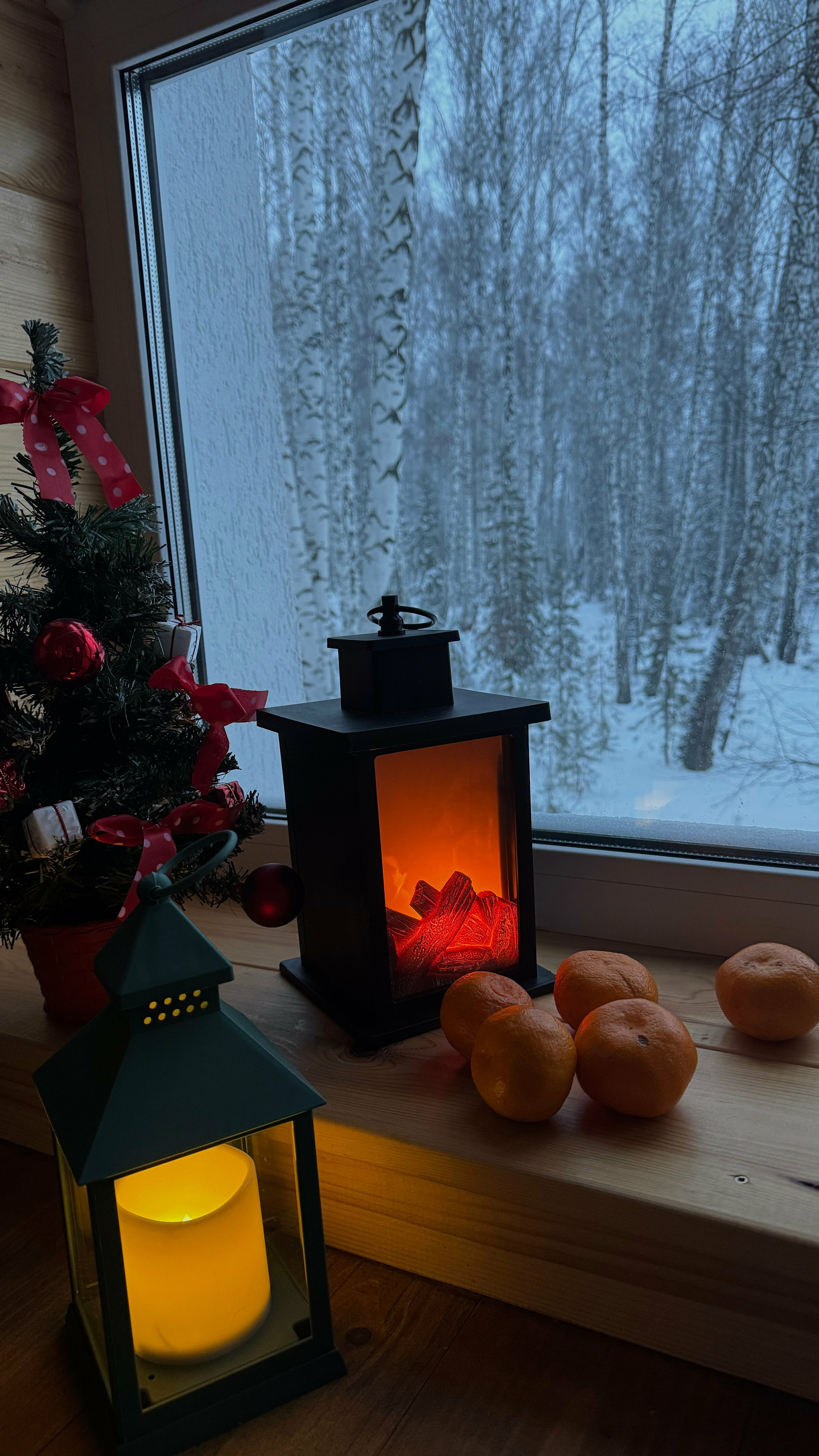 Дом "Тихий Бор"