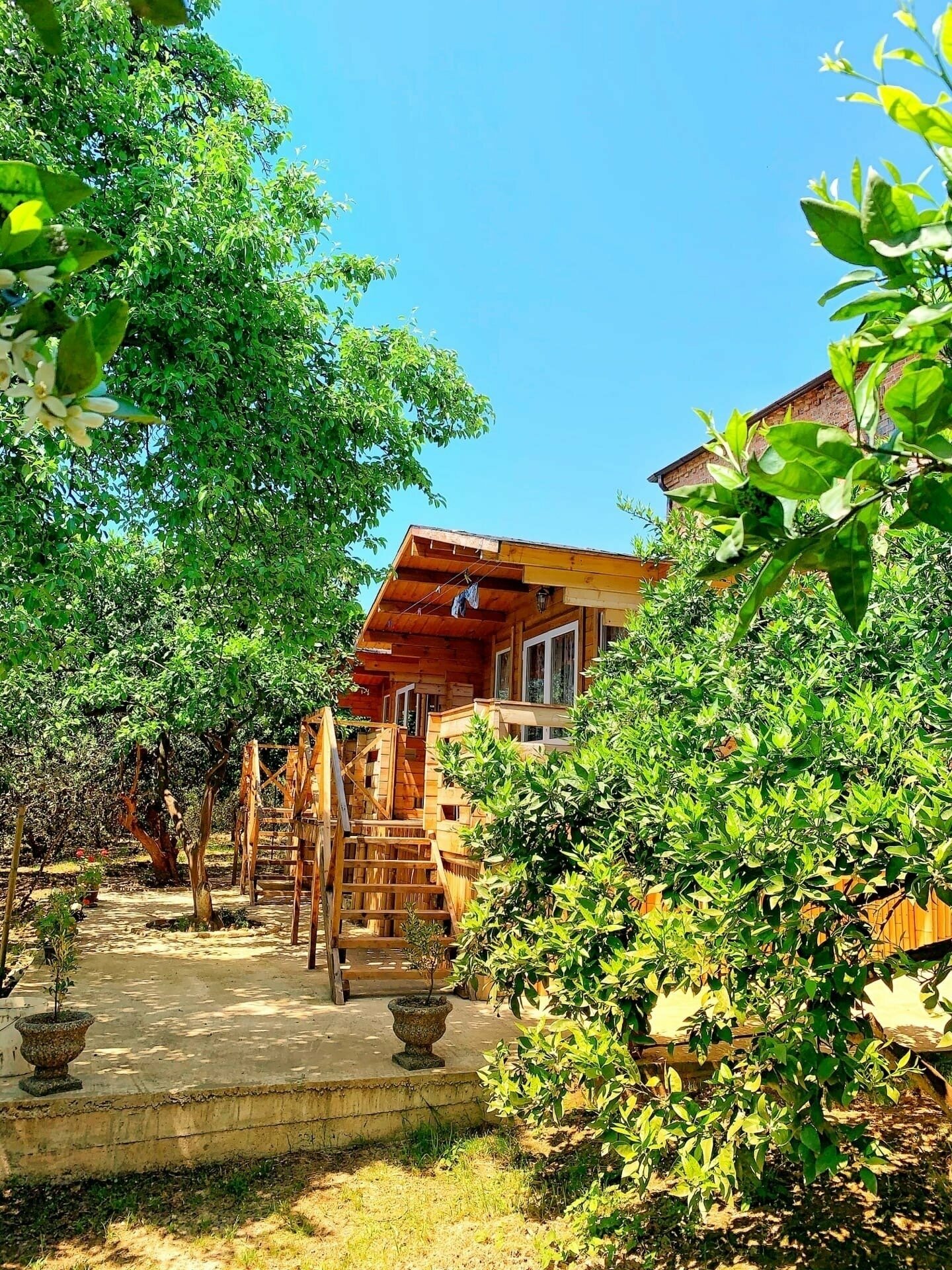 Трехместный домик в цитрусовом саду