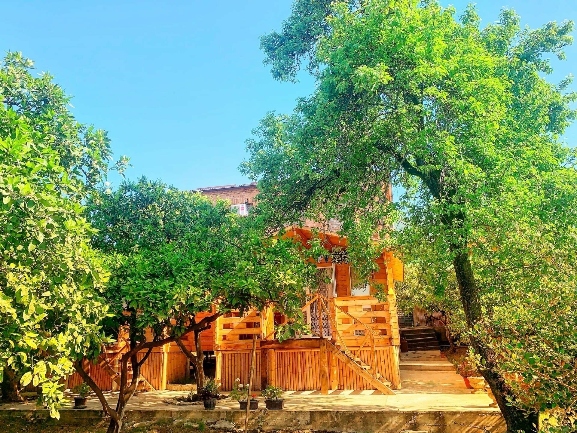 Трехместный домик в цитрусовом саду