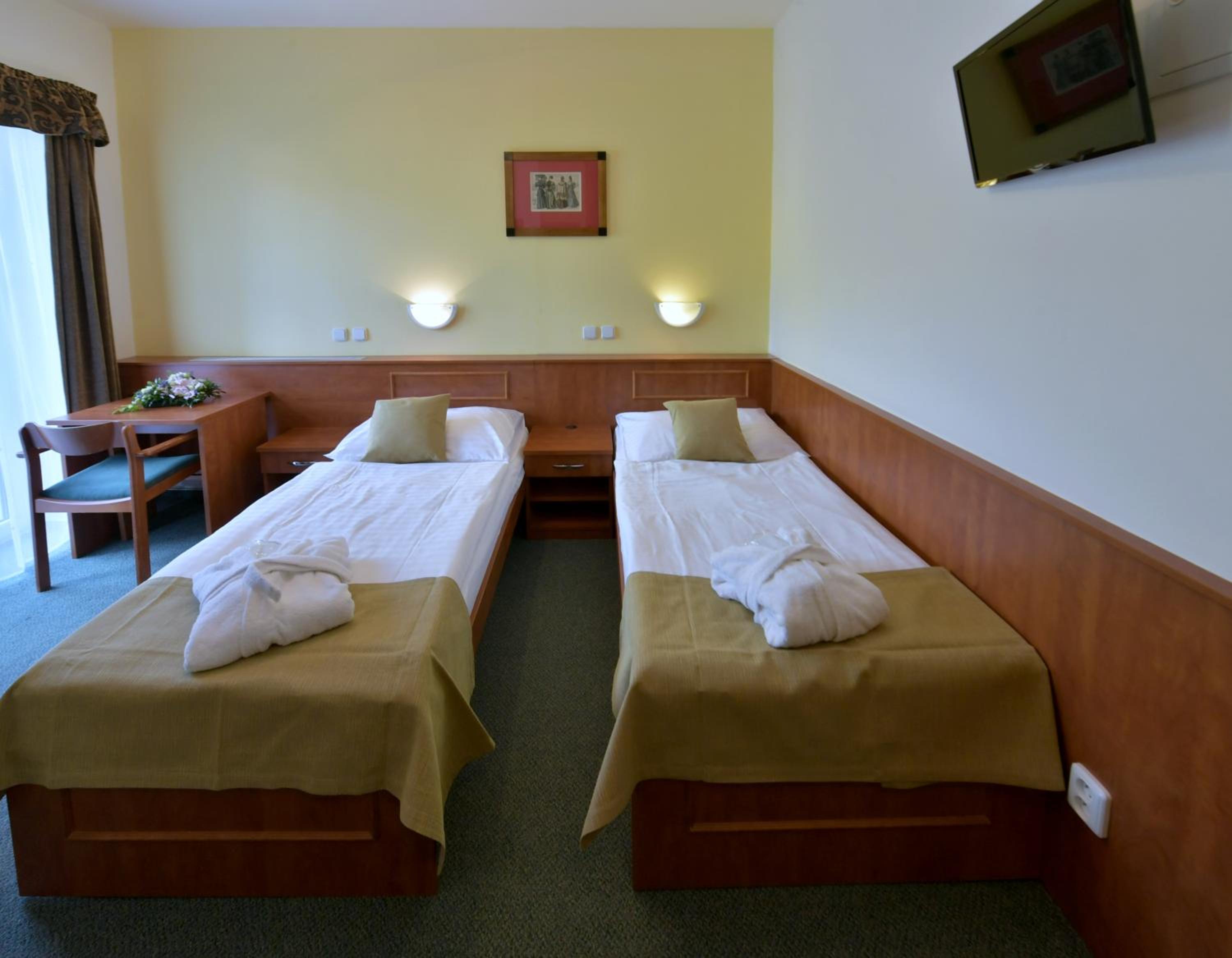 Superior Double or Twin Room