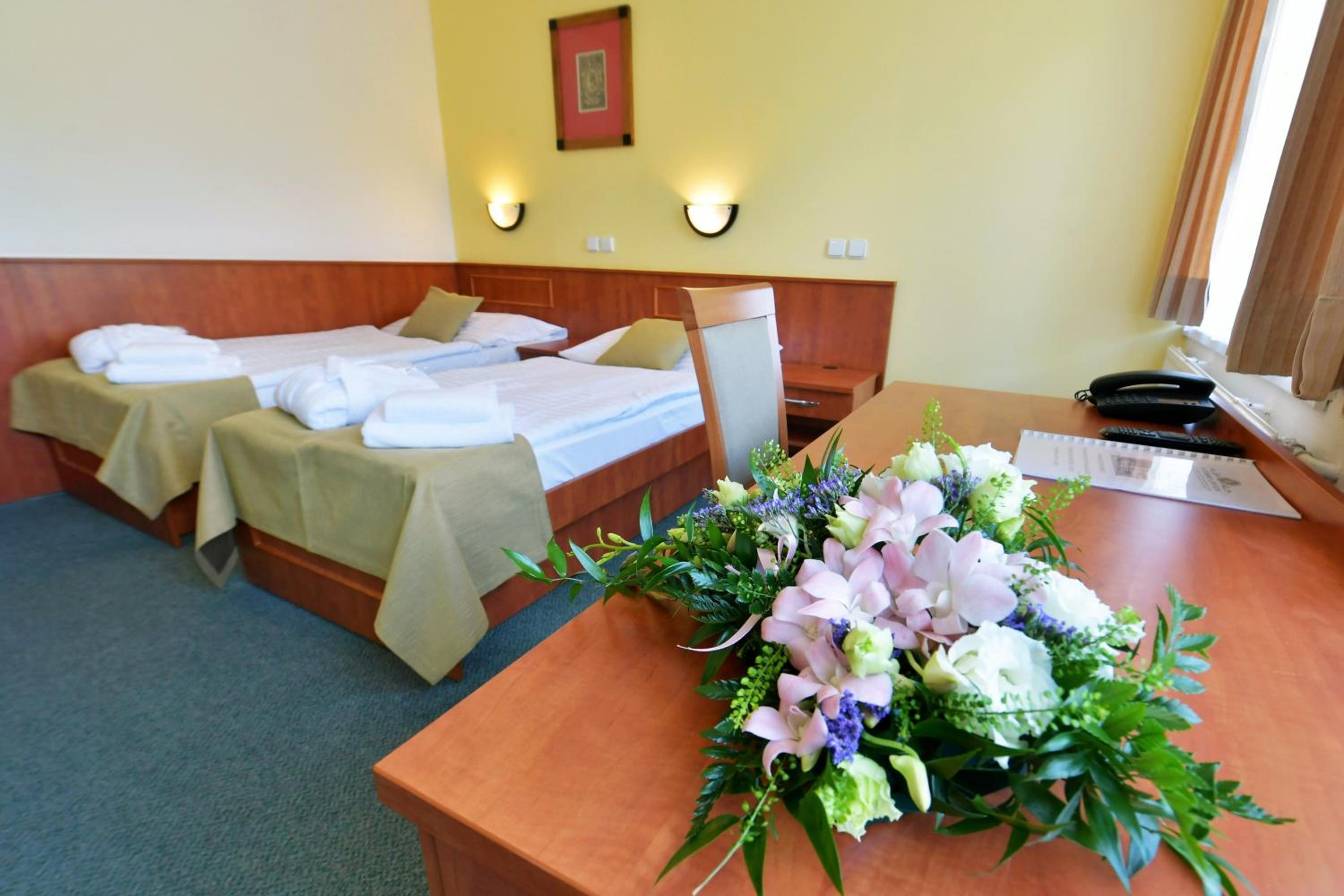 Superior Double or Twin Room